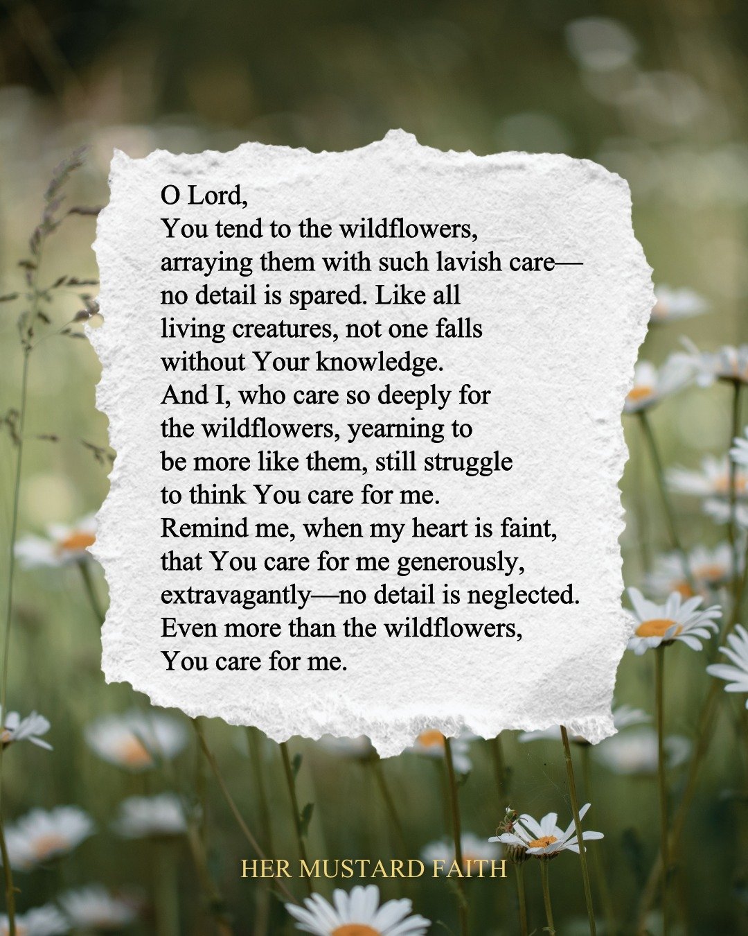 Even more than the wildflowers 🌼

Recently, I have been writing poems about wildflowers daily, and the words are coming quickly. I look forward to sharing more with you 💛