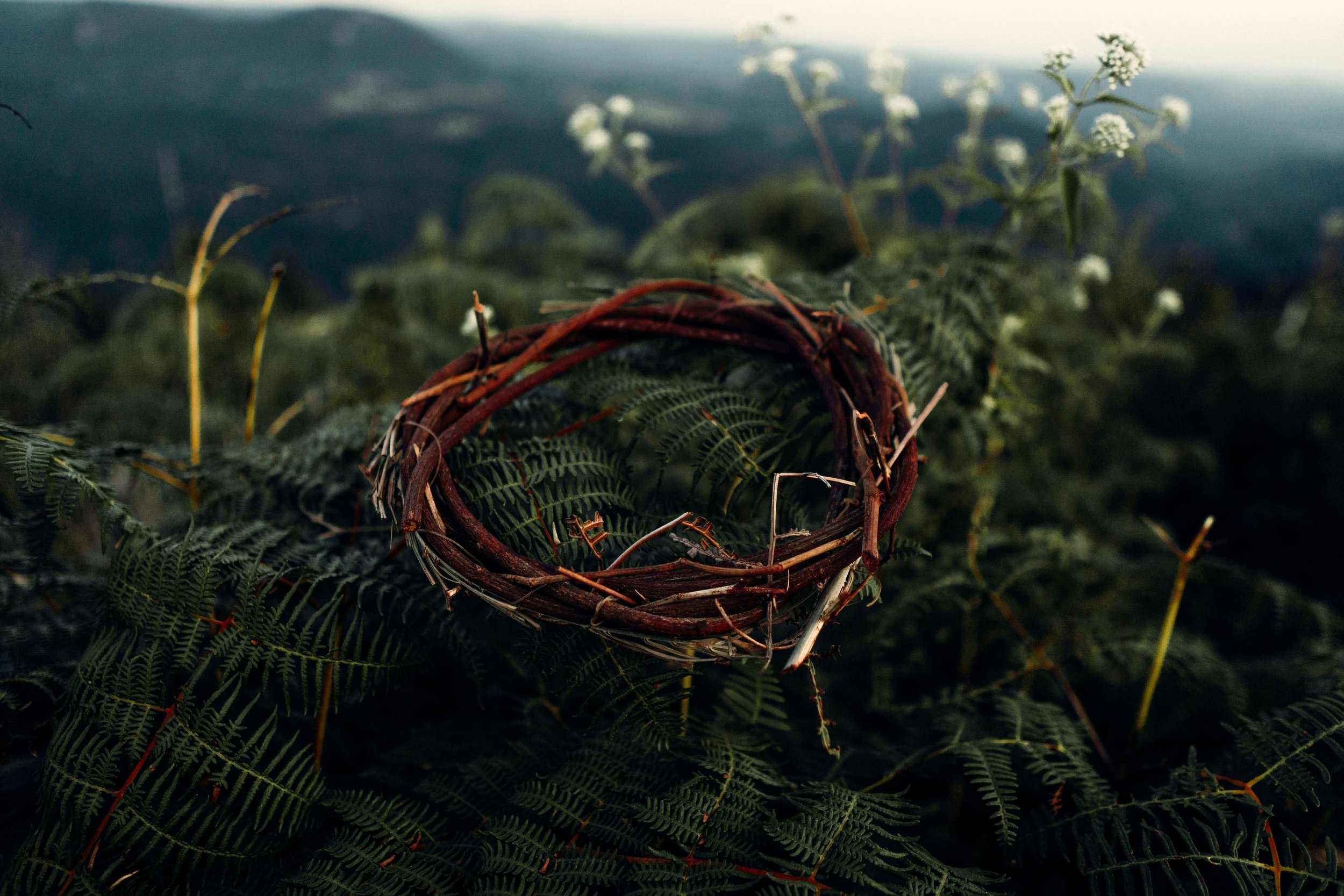 Crown of thorns easter