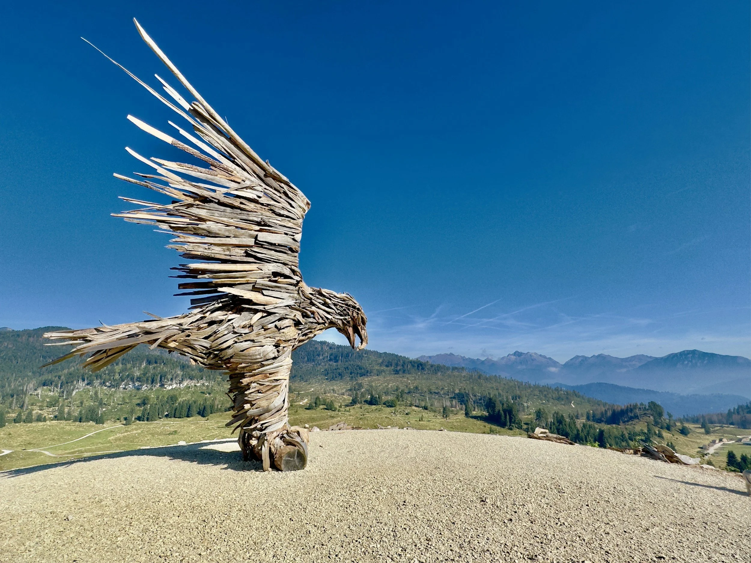 Sculpture of a bird made from driftwood with wings spread, positioned outdoors on a hill with mountains and blue sky in the background.