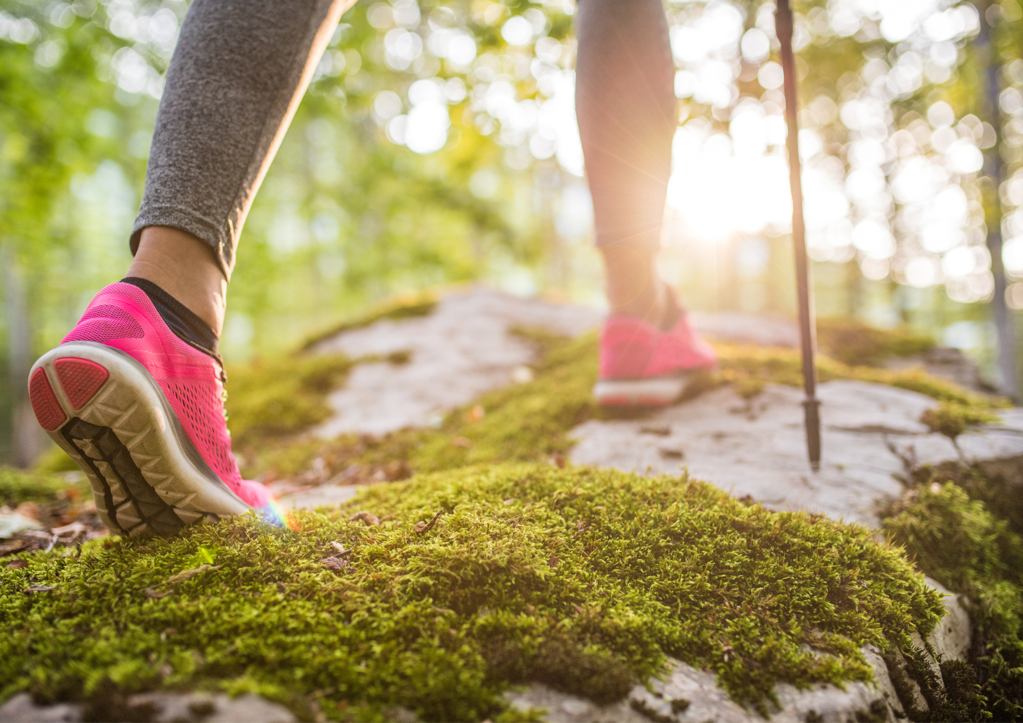 Small Steps Create Big Shifts