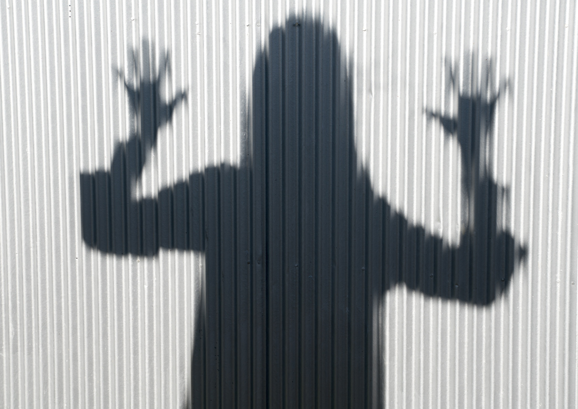 Unfreezing the Corporate Swan