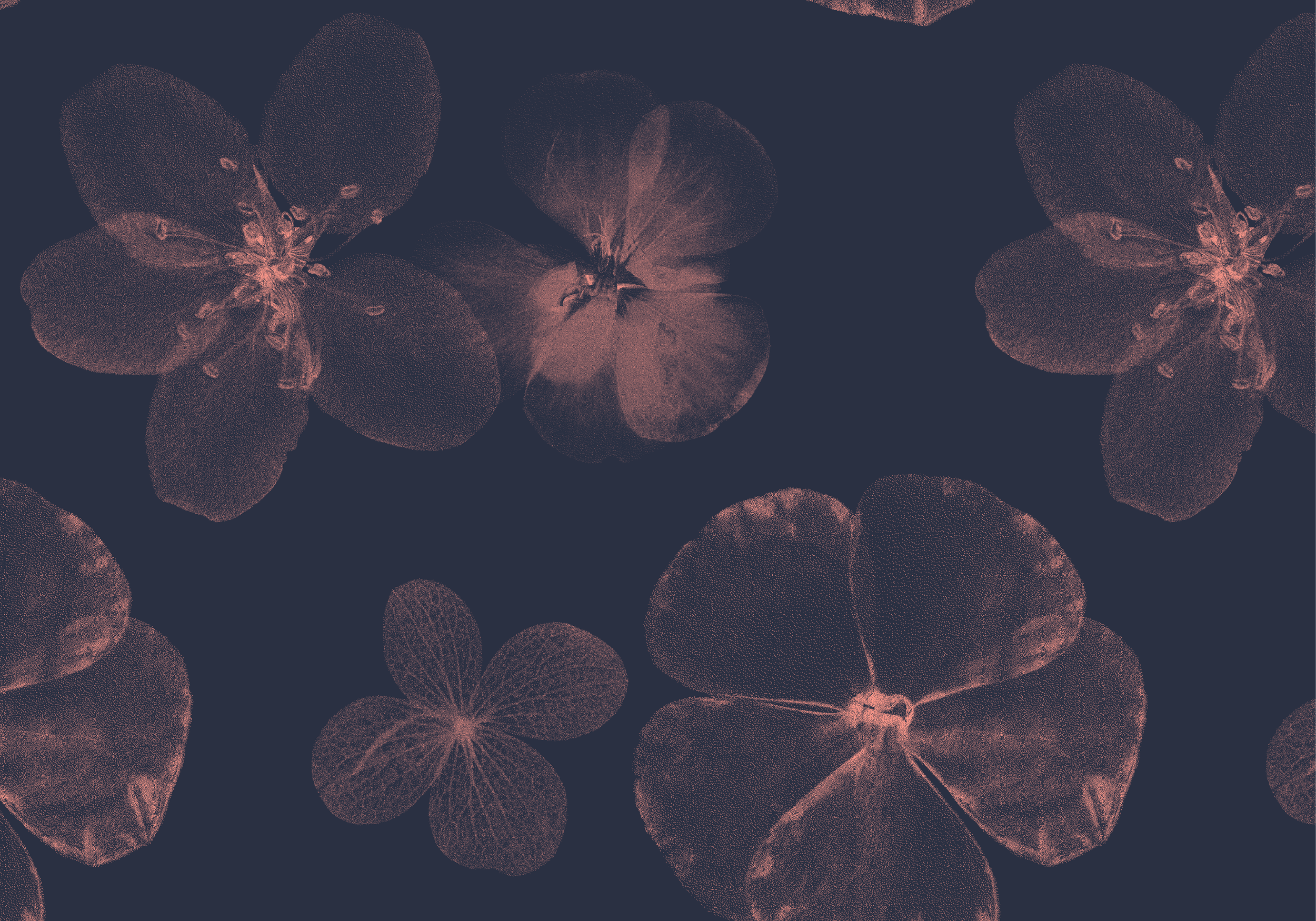ALL PRINTS_CASUAL_F24-05.png