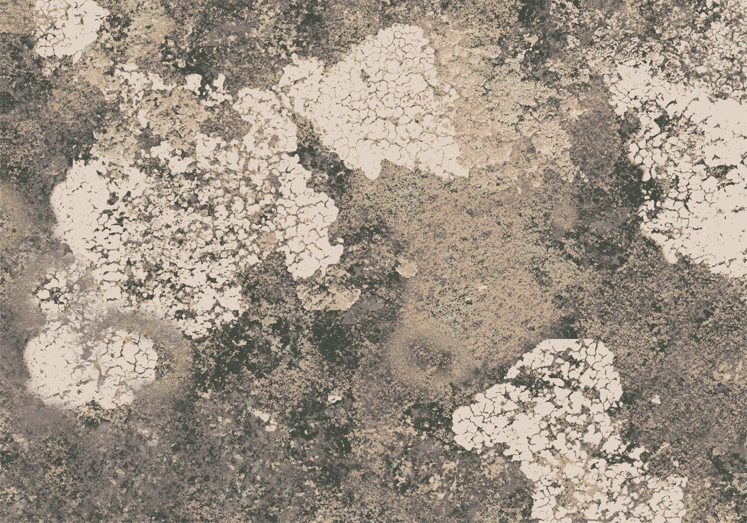 ALL PRINTS_OUTDOOR_F23-09.png