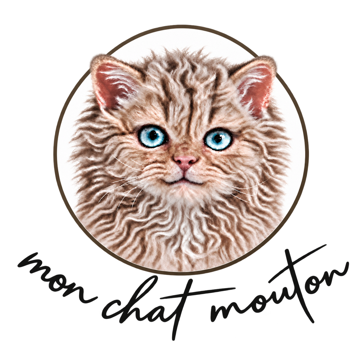 Mon chat mouton