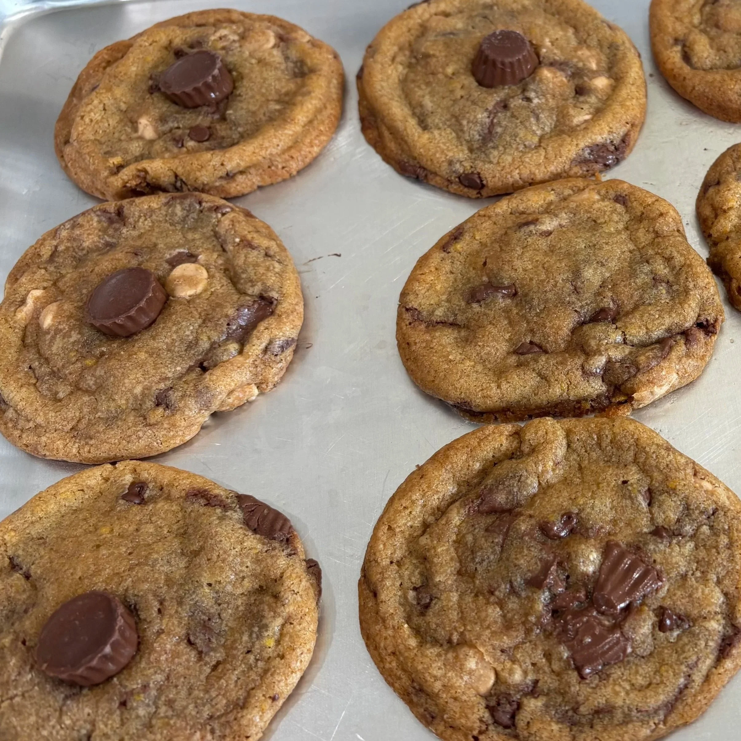 Reese's Peanut Butter Chocolate Chip
