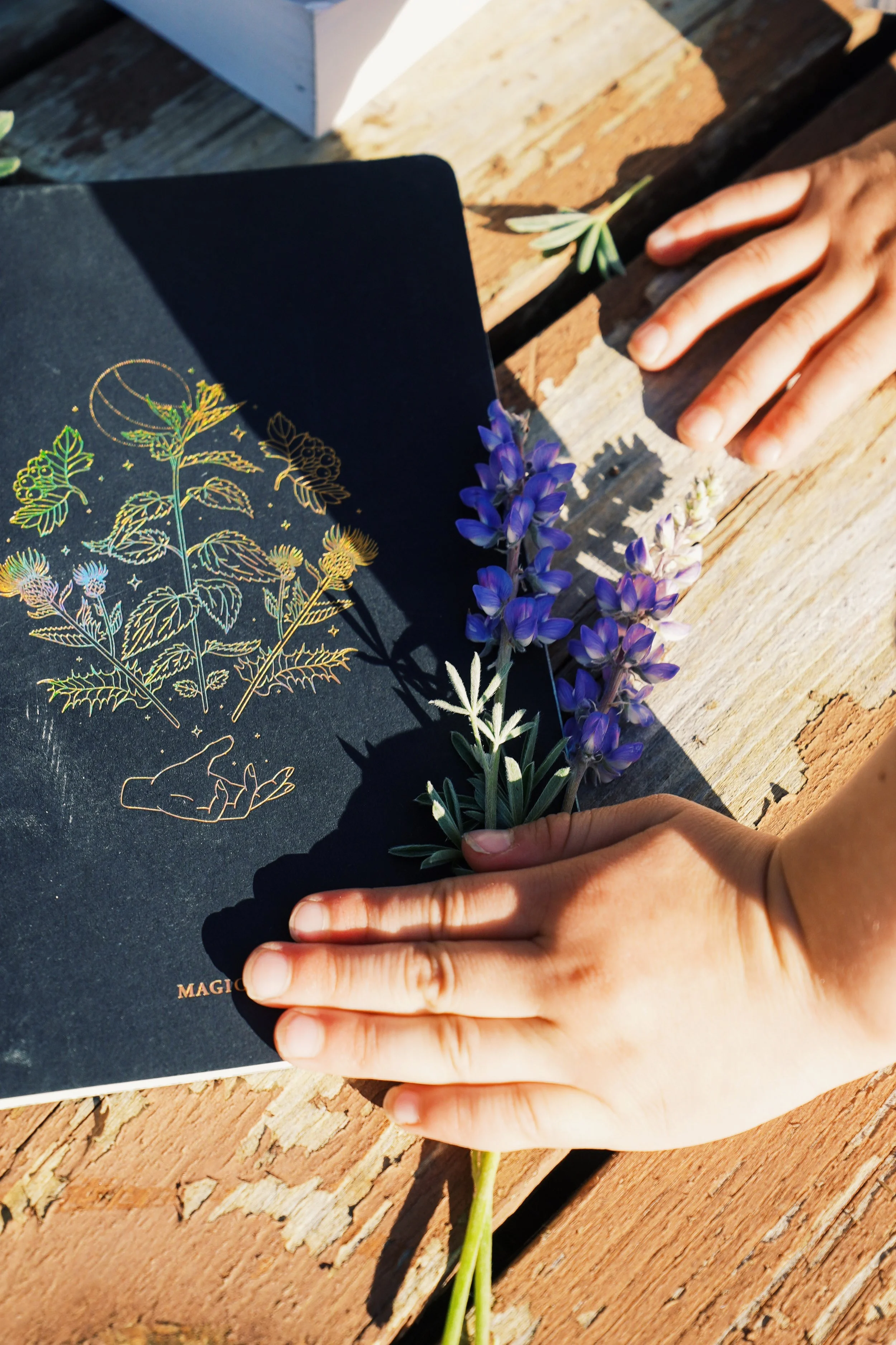 Person holding a sprig of purple flowers on a wooden surface with a black book that has gold-lined botanical illustrations