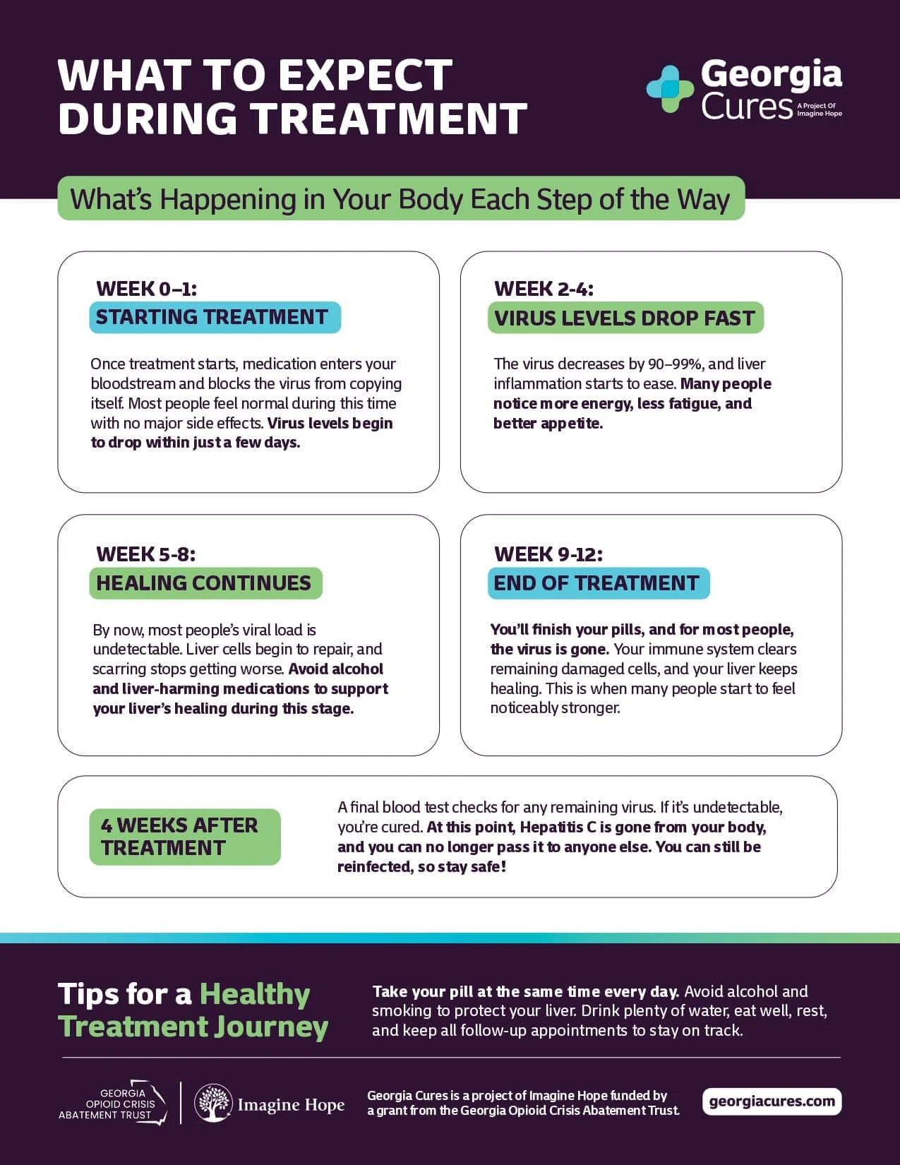 What to Expect Document