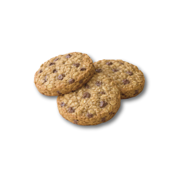 Oatmeal Chocolate Chip Sourdough Cookie