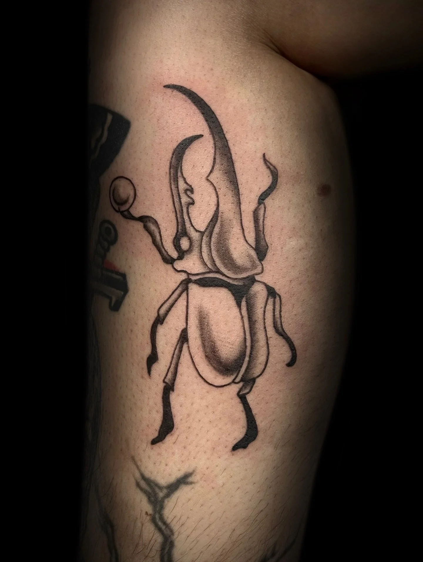 Wizard beetle 🪲🔮

Your idea or mine
DM to book 🖤

Located @hiddenvibes_tattoo 
in Cambridge MA

Thanks for lookin&rsquo;