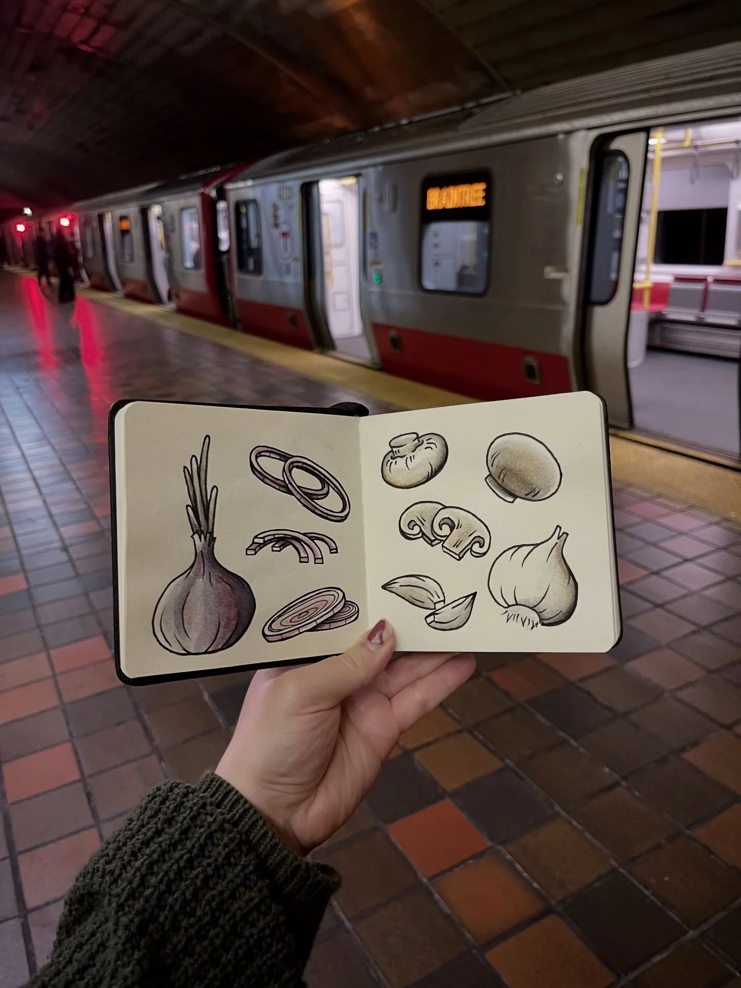 More sketchbook veggies 🍄&zwj;🟫🧅🧄