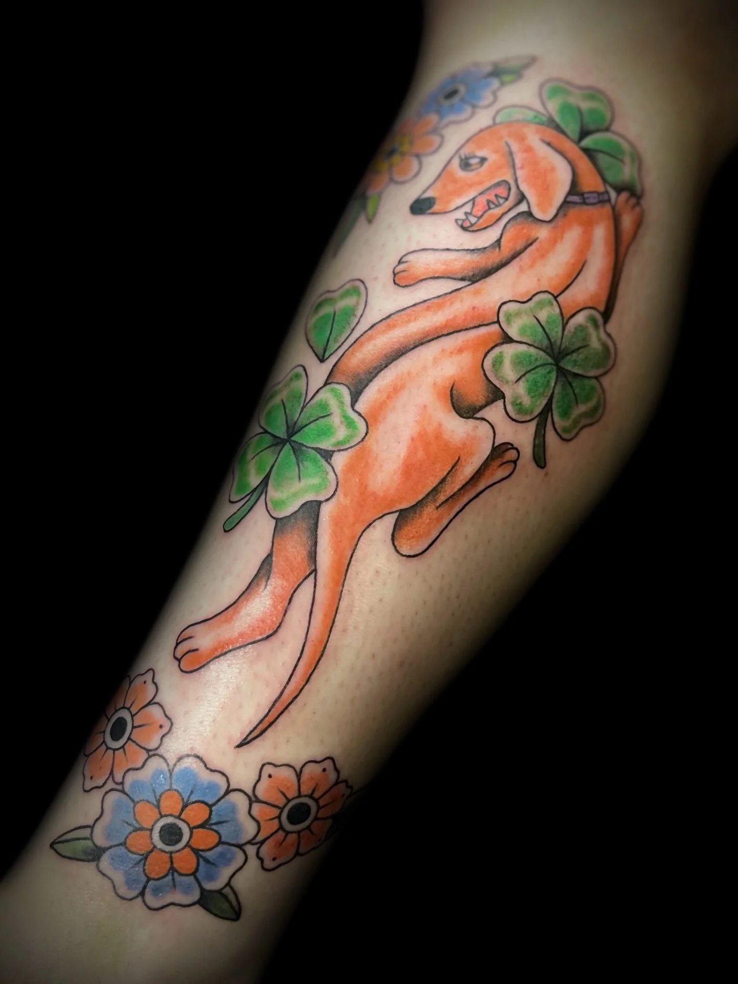 LONG DOG named Clover 🍀🌭🐶

This was so fun !! 
More traditional pet tattoos please !!

Located @hiddenvibes_tattoo 
in Cambridge, MA

Thanks for lookin&rsquo; 🐸