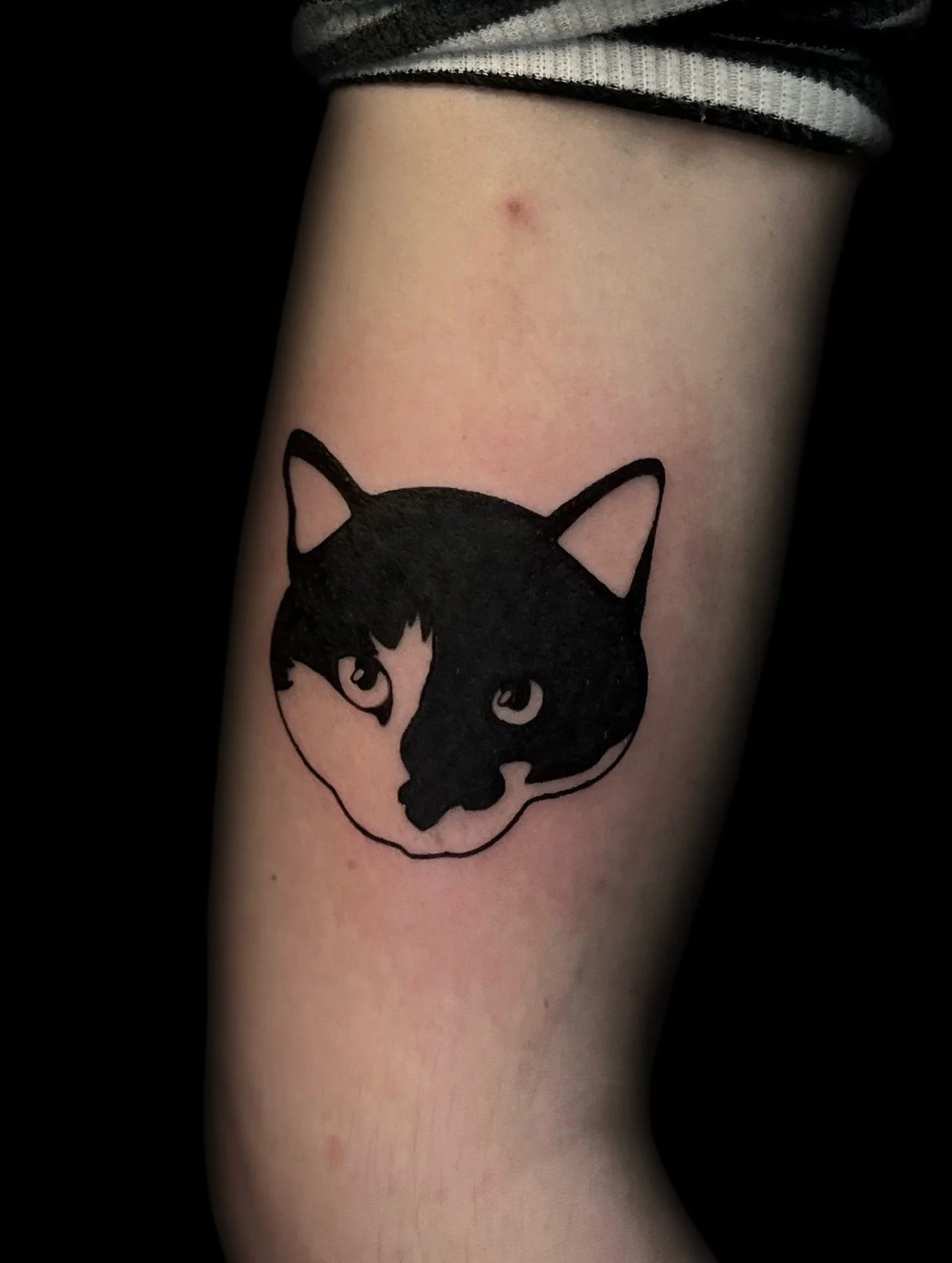 (Meow)

Booking for June ☀️🐸

Located @hiddenvibes_tattoo 
in Cambridge, MA

Thanks for lookin&rsquo;