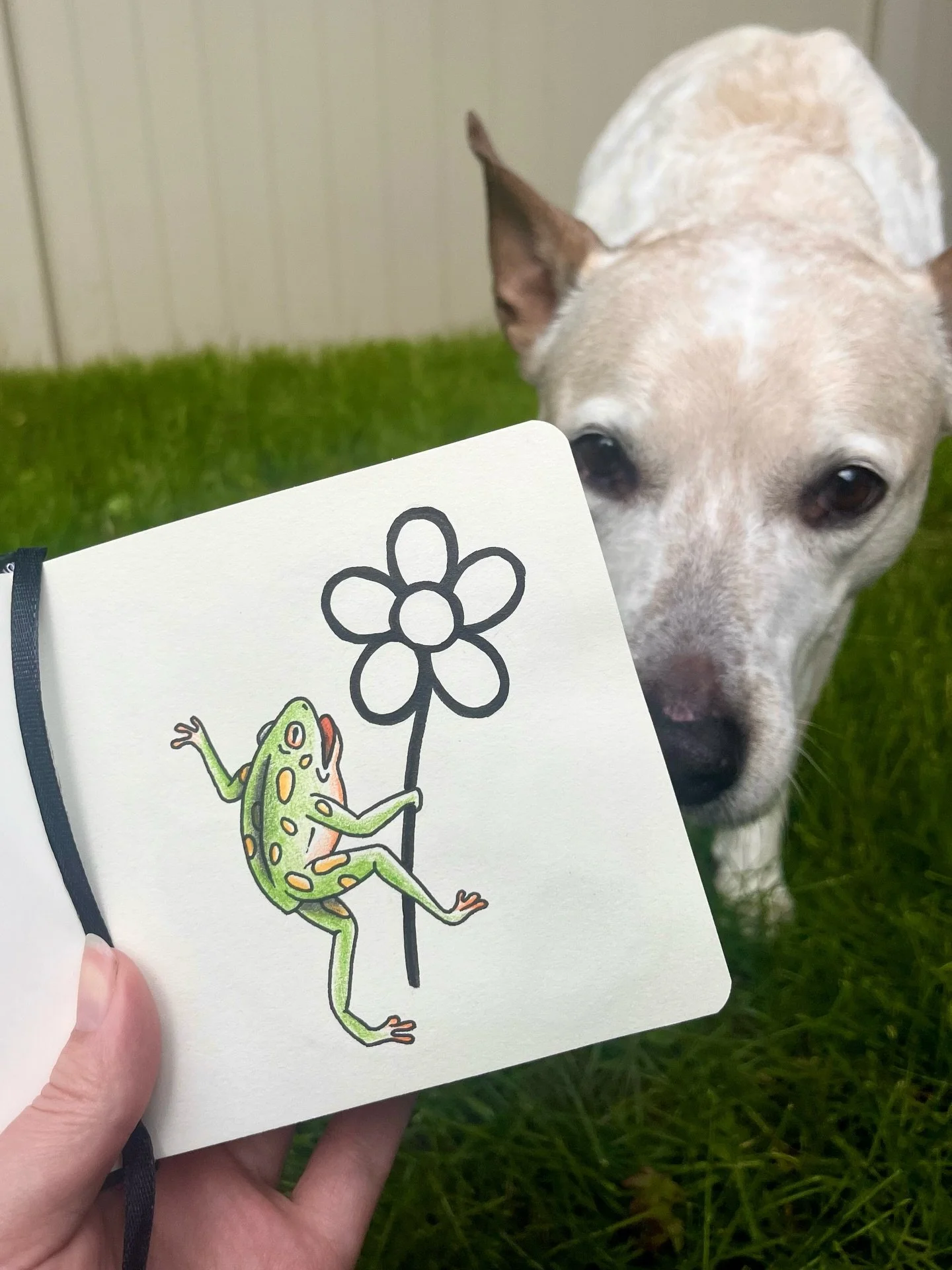 I would really love to tattoo something whimsical like this real soon 🐸🌻

Located @hiddenvibes_tattoo 
in Cambridge, MA

Thanks for lookin&rsquo;
