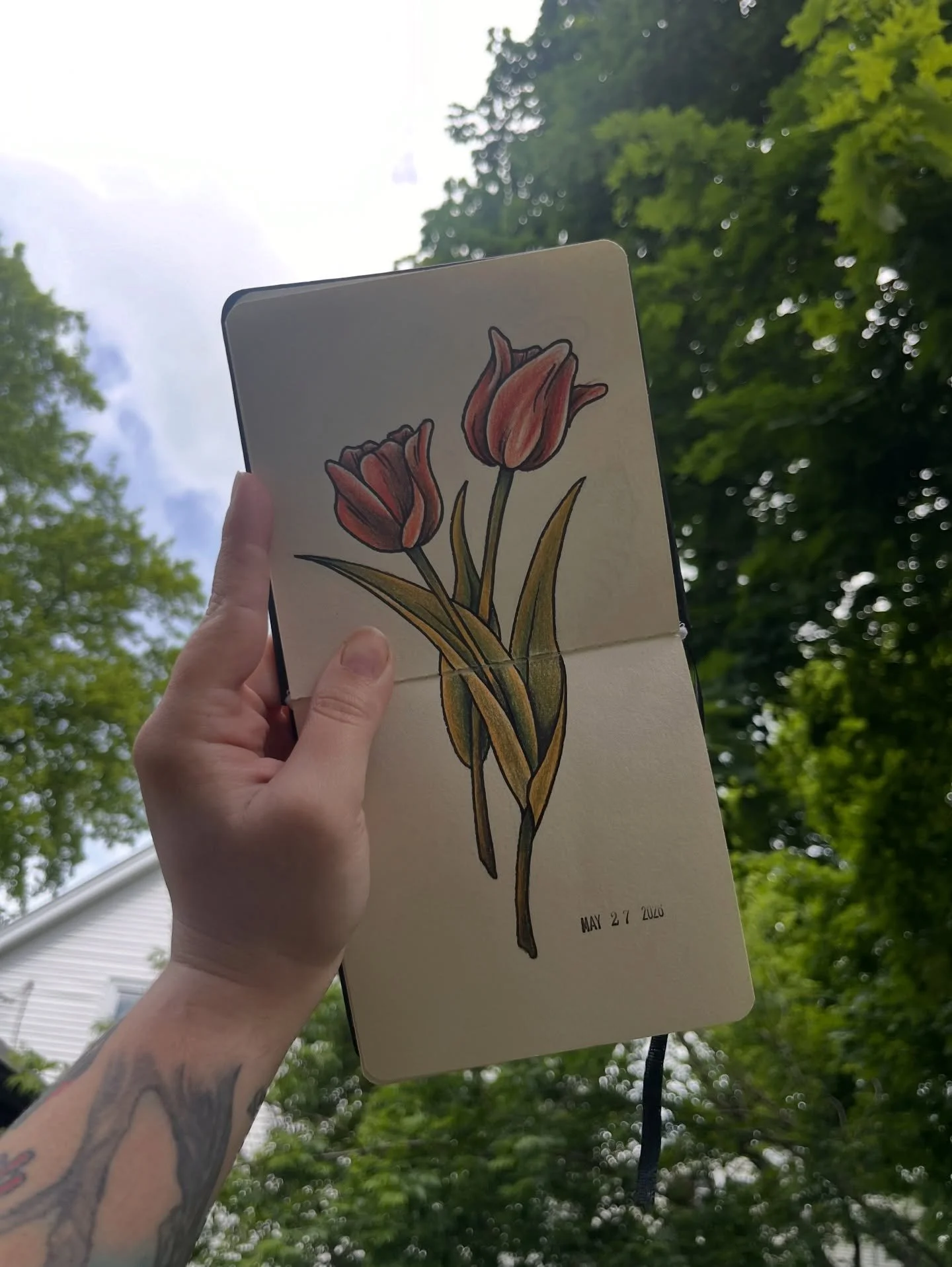 Sketchbook tulips 🌷

I still have some time in June for tattoos ❤️&zwj;🔥
Your idea or mine

Located @hiddenvibes_tattoo 
in Cambridge, MA

Thanks for lookin&rsquo;