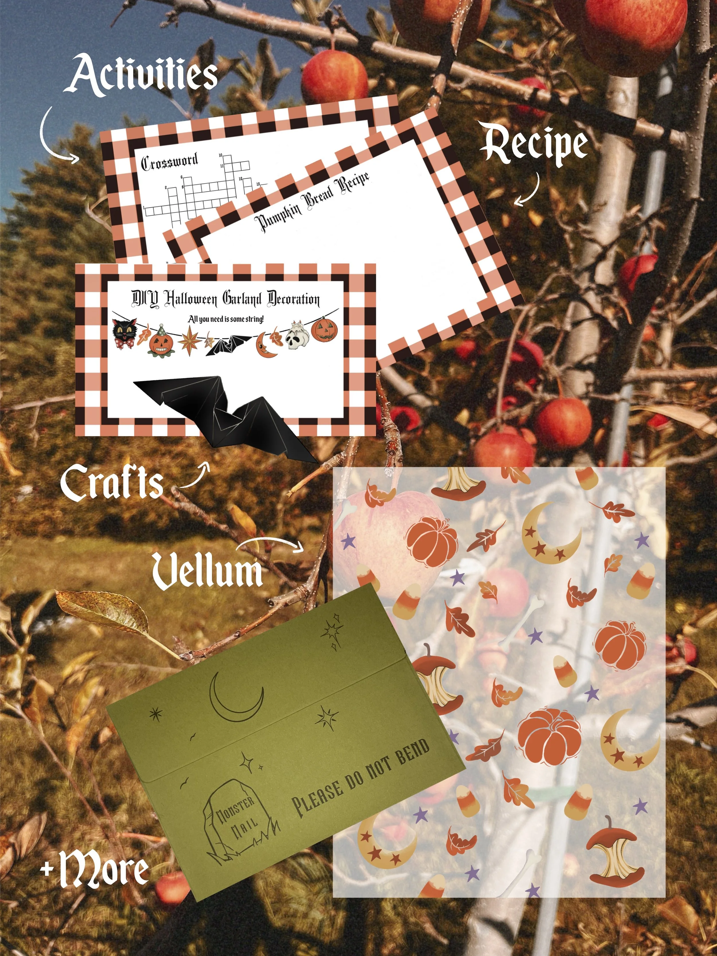 October_Promo (4).JPG