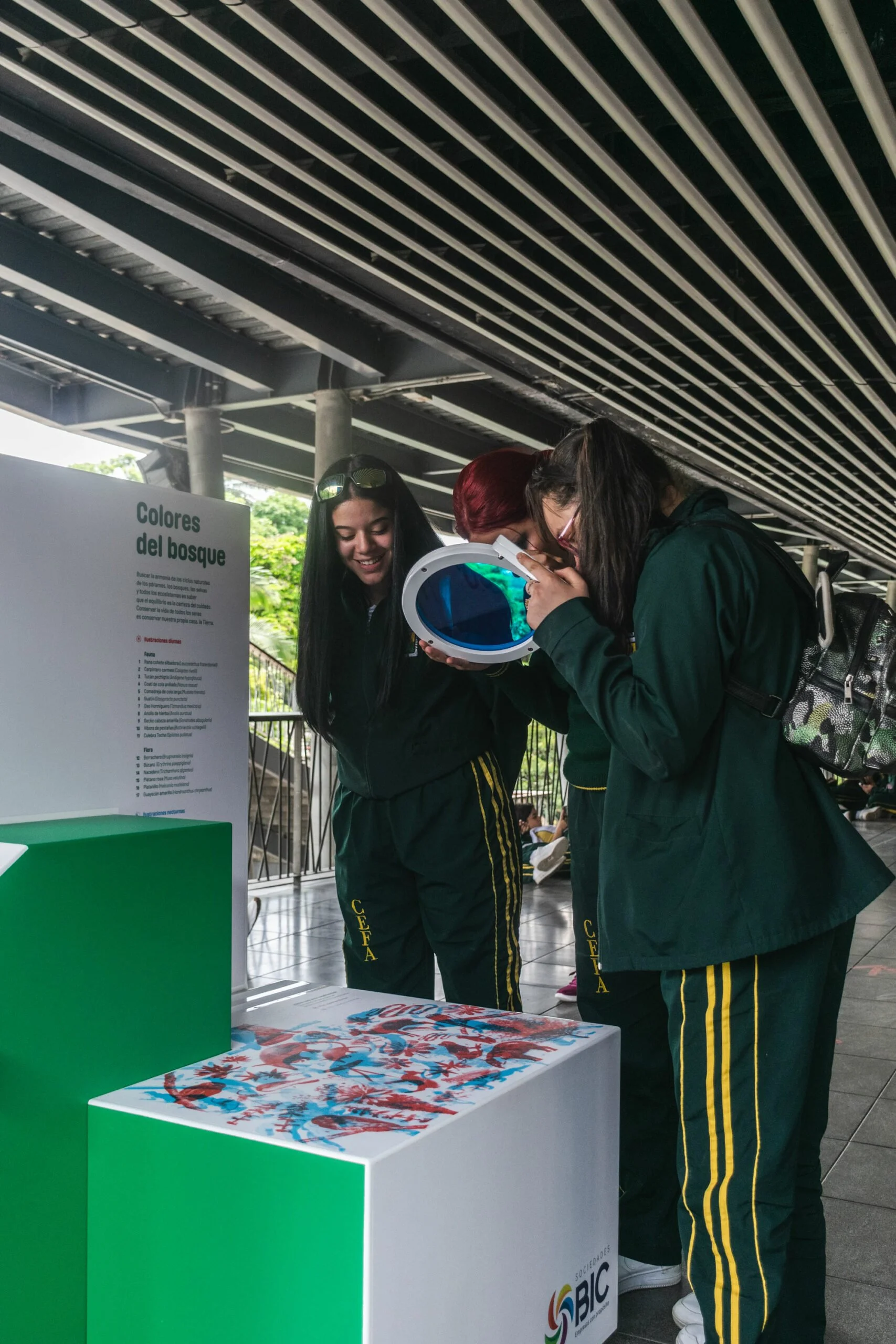 ProyectoCHEC_Experiencia-Colores-del-bosque-2-scaled.jpg