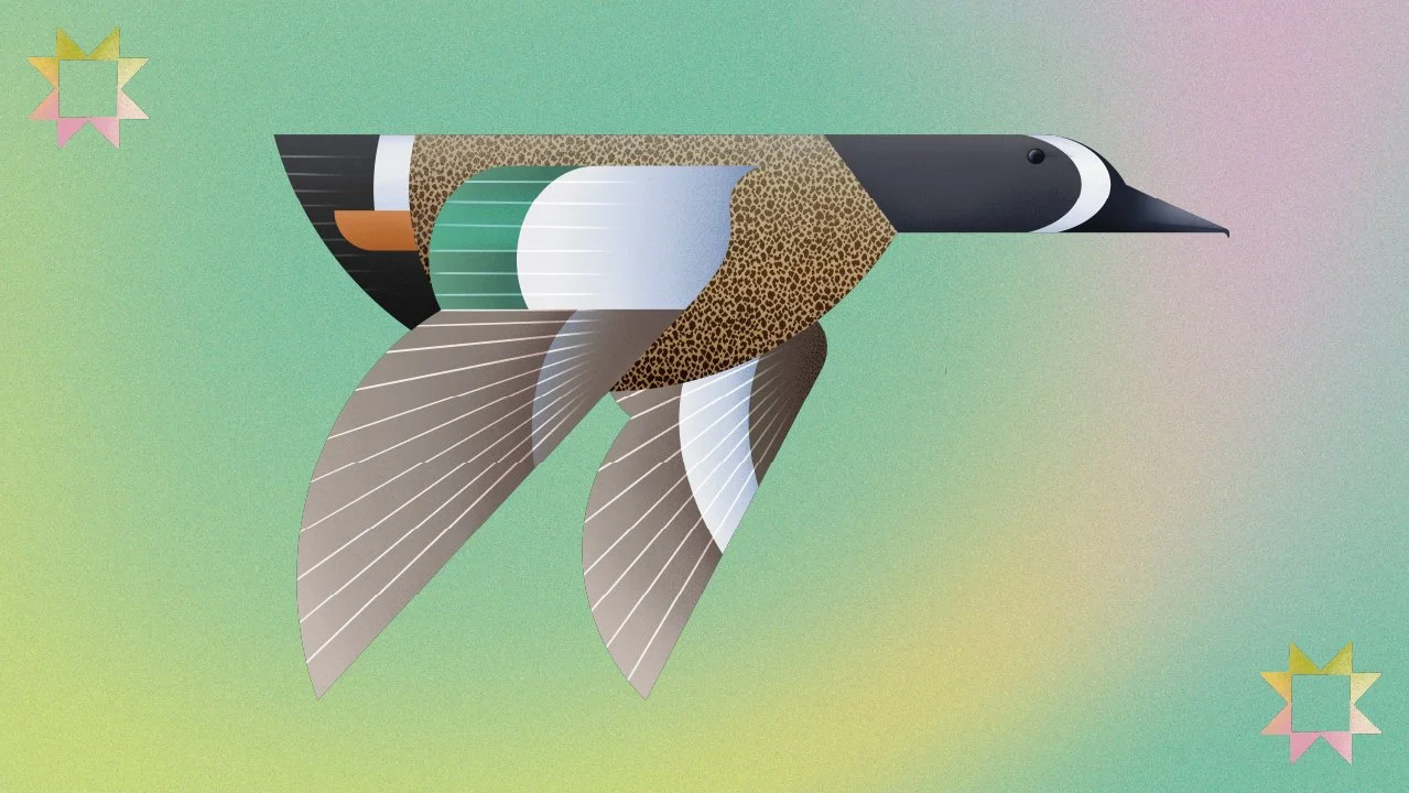 Ilustración digital de un pato con diseño geométrico y colorido, sobre fondo degradado en tonos verdes y grises.