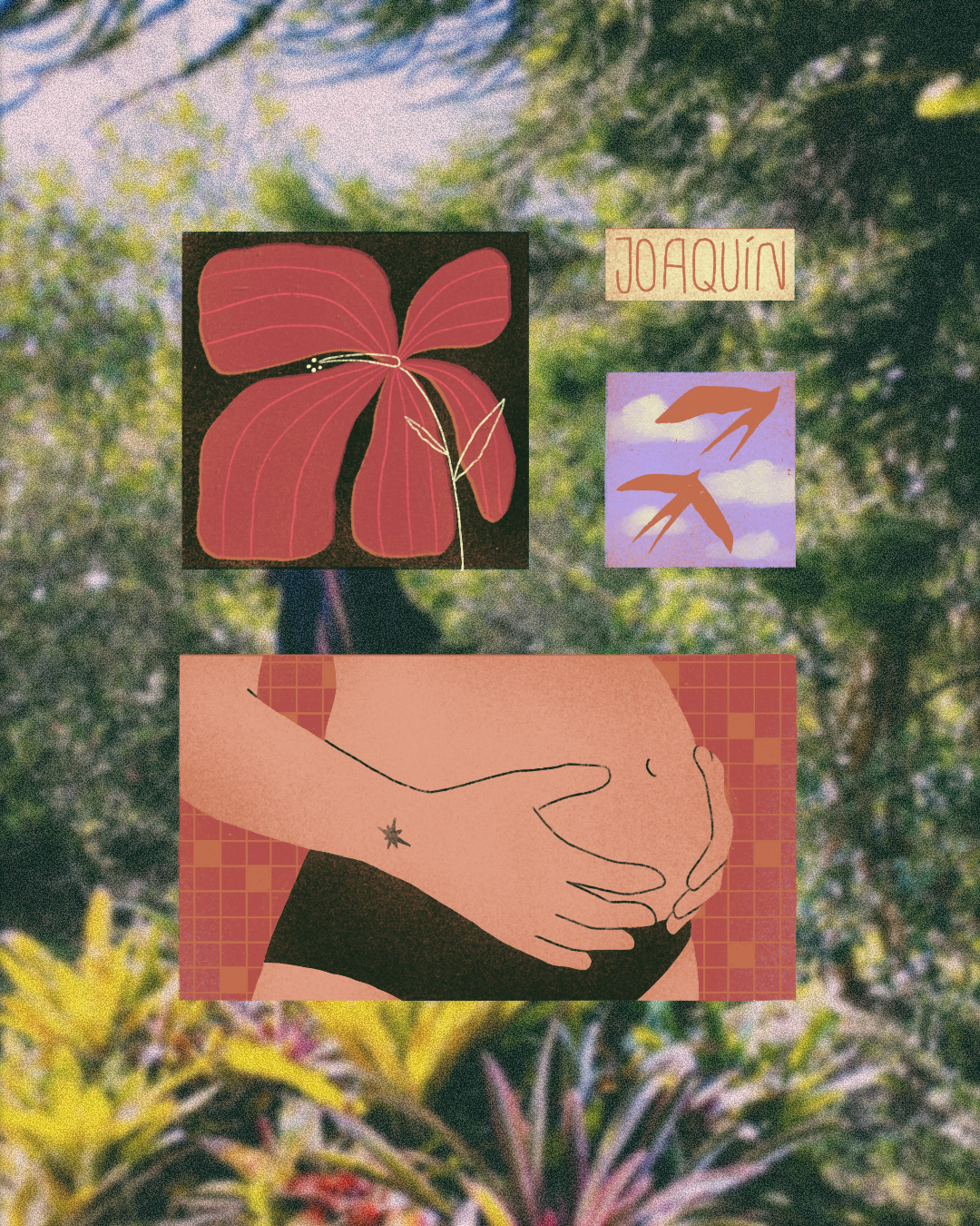 Collage de ilustraciones de una mariposa, aves en vuelo, y manos sosteniendo su abdomen, sobre un fondo de naturaleza con árboles y plantas.