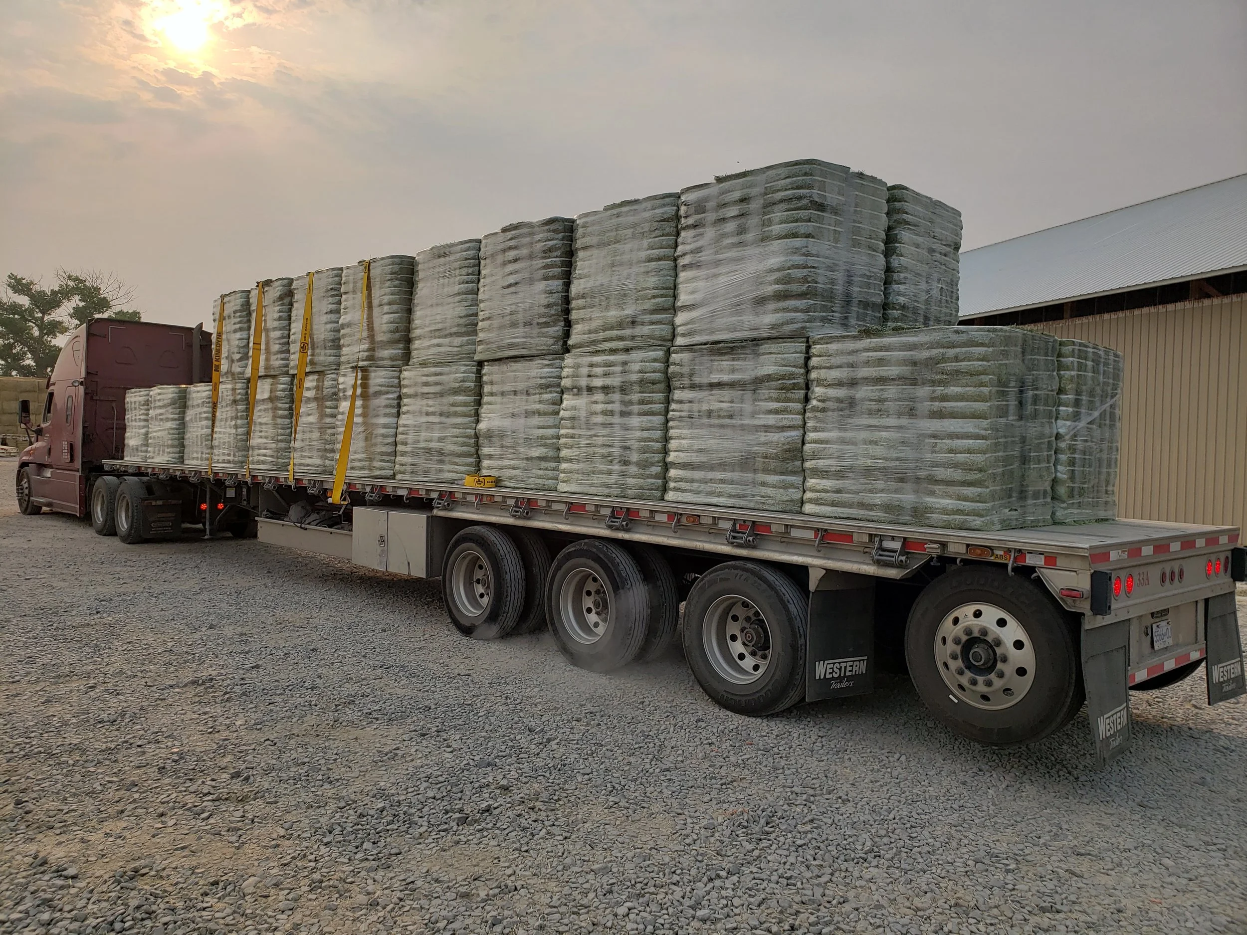 A semi-truck parked on a gravel lot, loaded with large wrapped bales of hay, next to a warehouse in the background during sunset.
