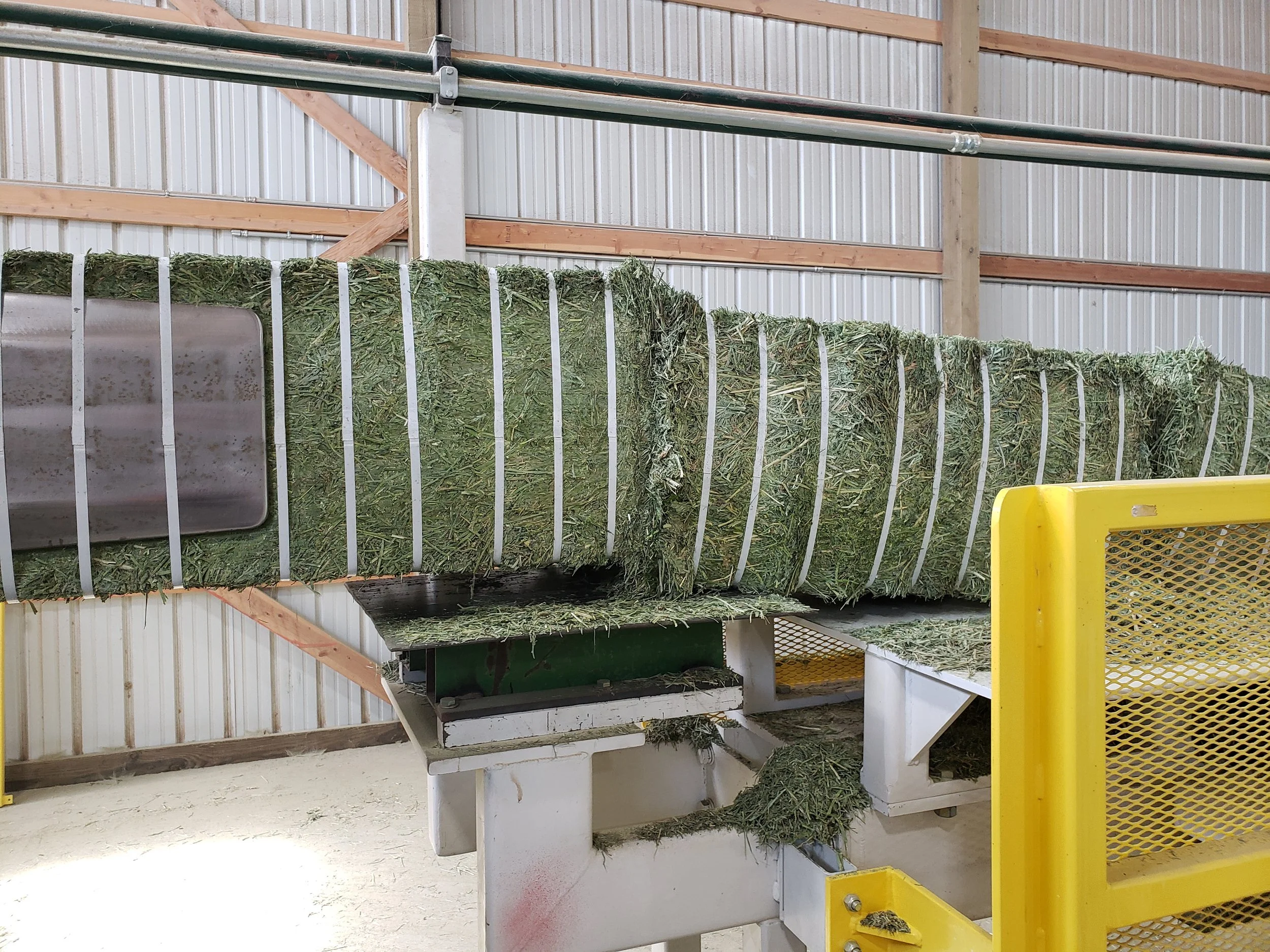 Agricultural equipment processing fresh green hay inside a processing facility.