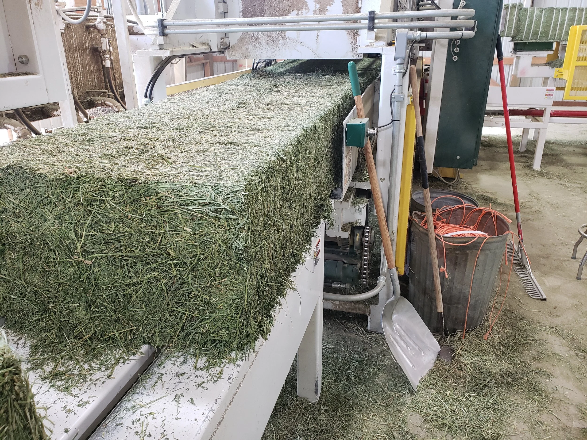 A hay baling machine in a barn with hay and farming tools nearby.