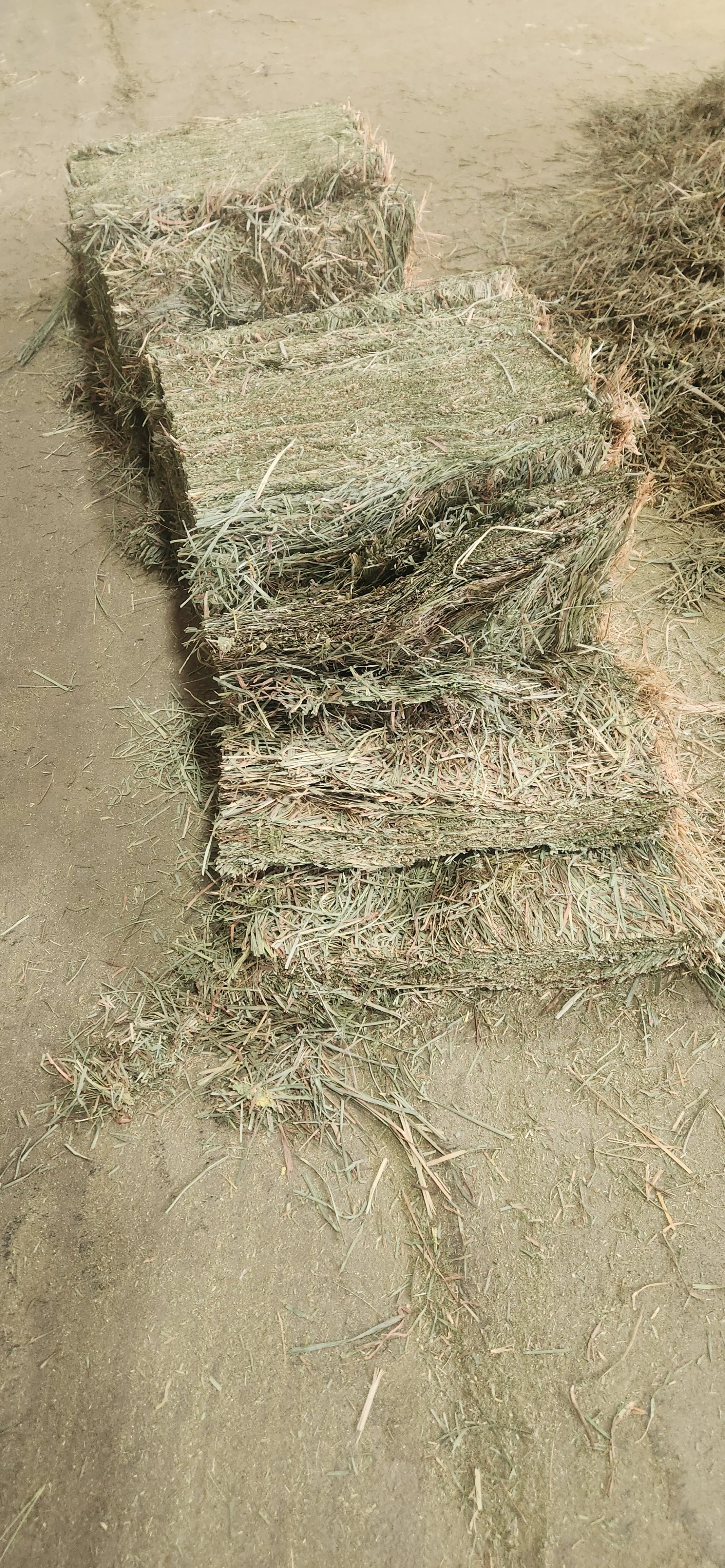 Stacked bales of dried hay on dirt ground in a farm or rural setting.