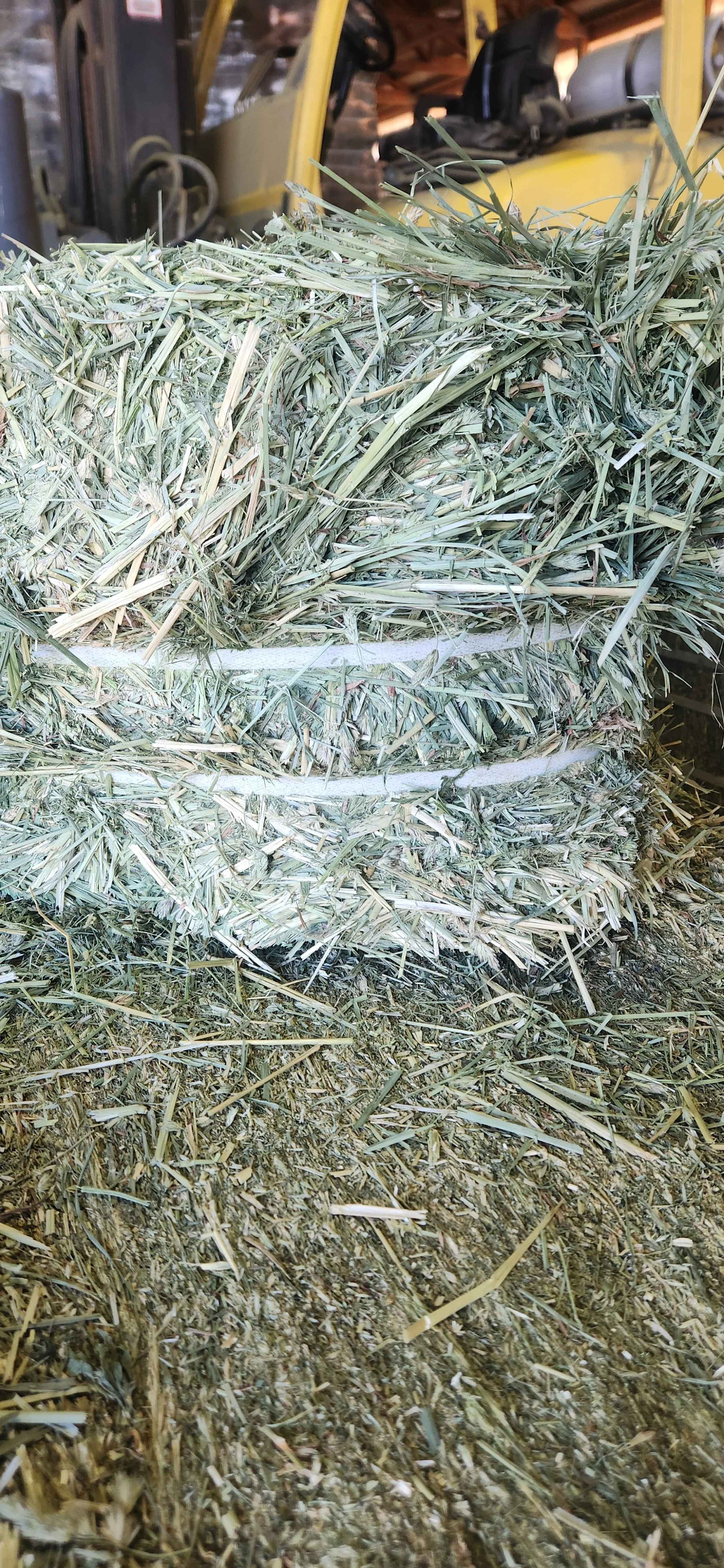 Straight Orchard Grass 1st Cut (Home Pivot)