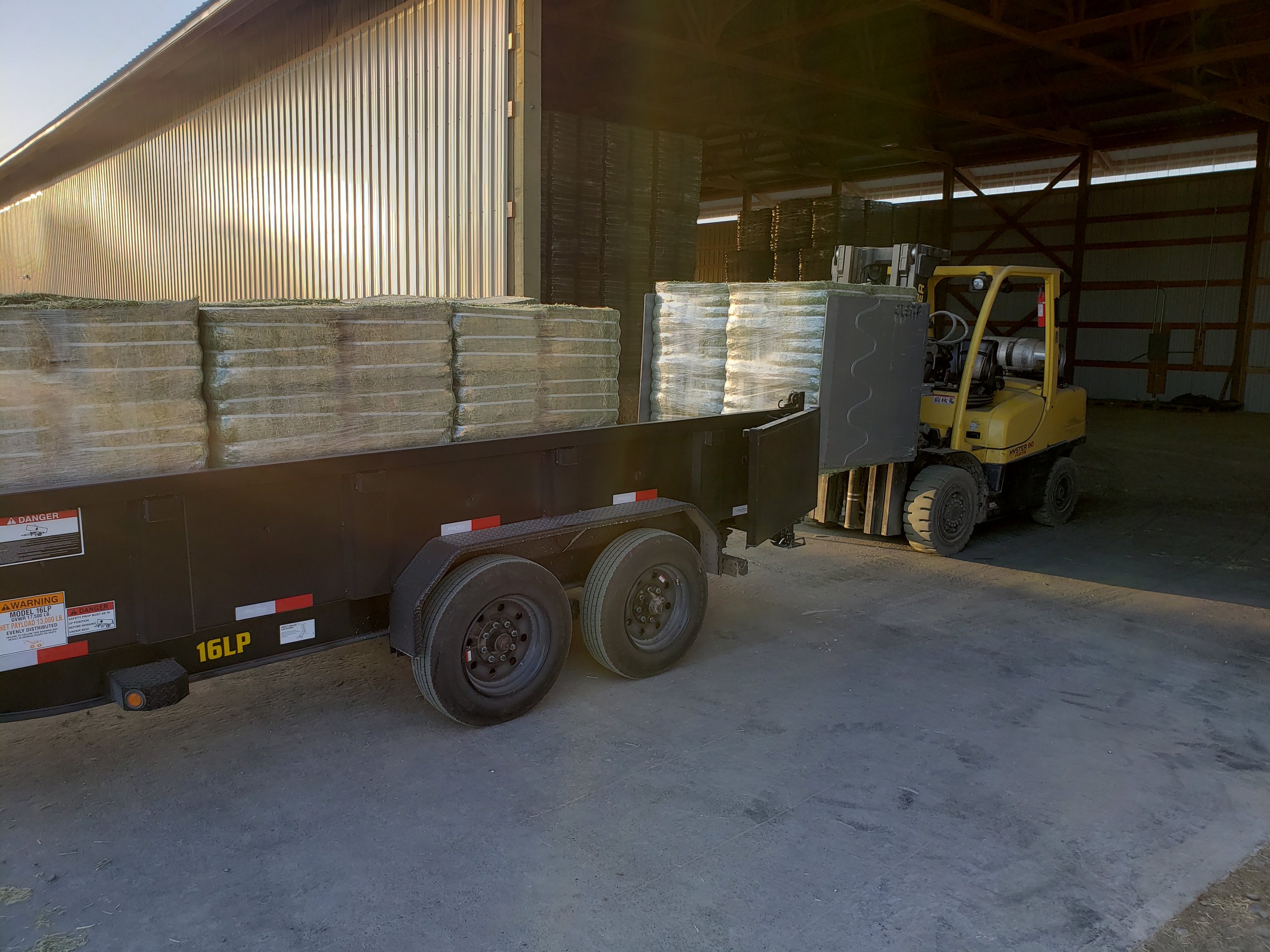 A yellow forklift loading bales of hay onto a black flatbed trailer in a warehouse or storage facility.