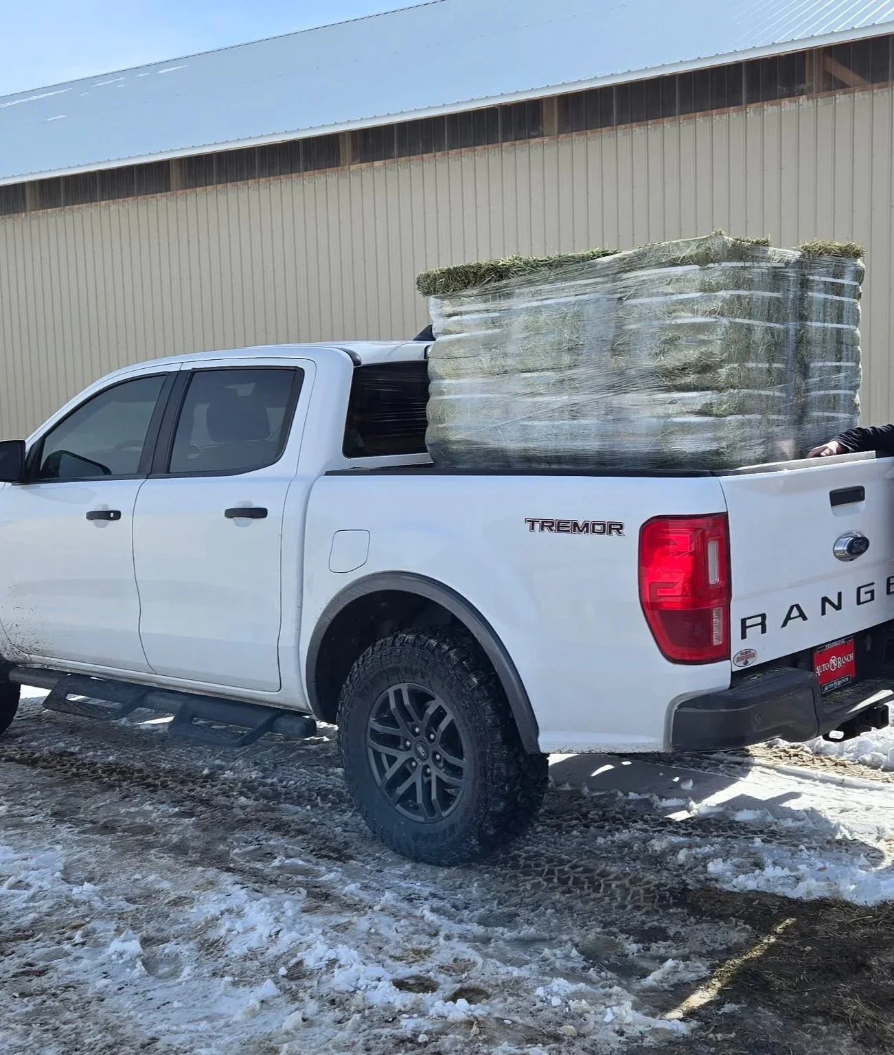 A white Ford Ranger truck with a load of hay bales wrapped in plastic on its bed, parked on a snow-covered ground outside a building with a metal siding.