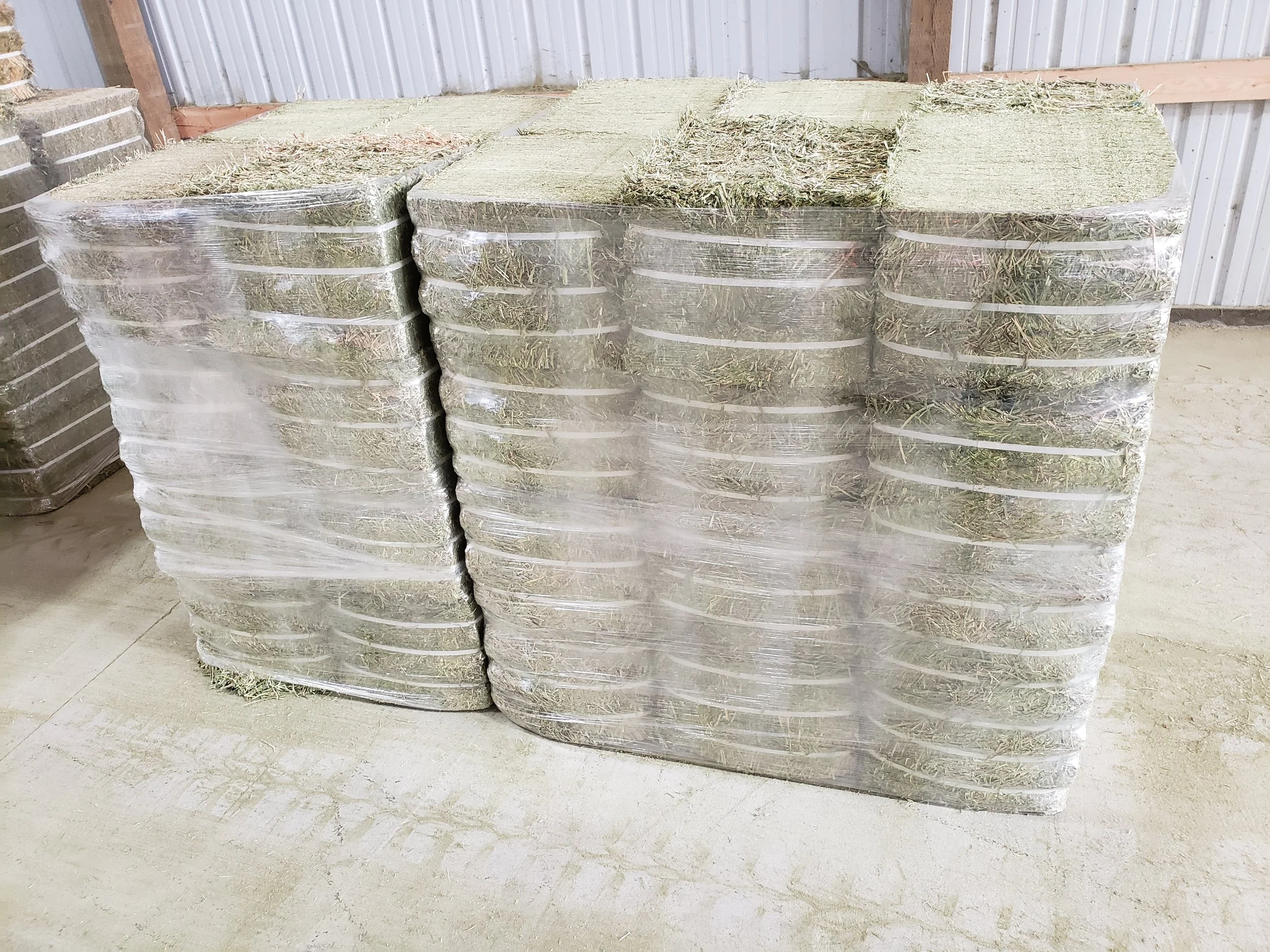 Stacks of hay bales wrapped in plastic, stored indoors on concrete floor.