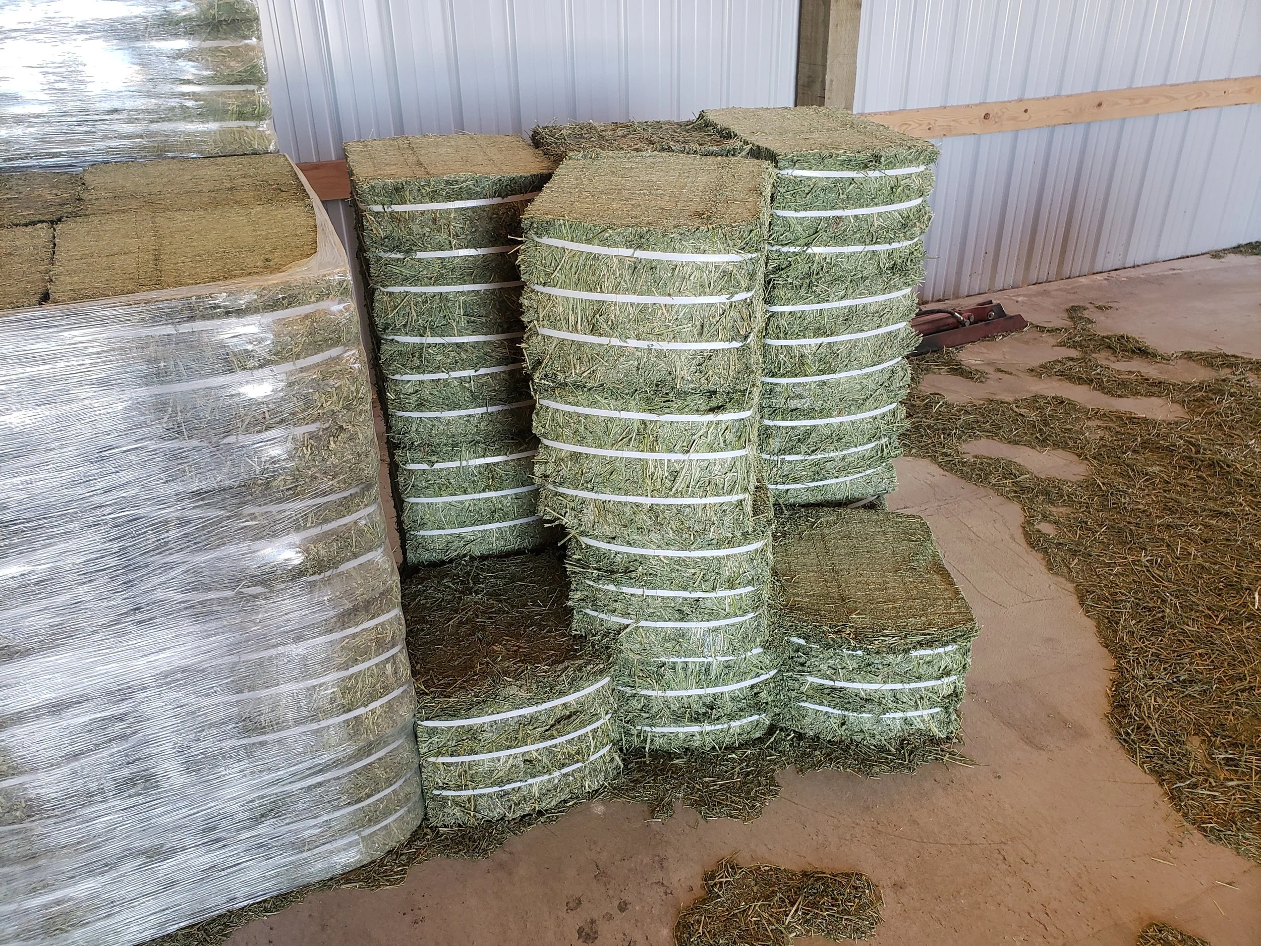 Stacks of rectangular hay bales bound with white straps inside a barn, with some hay scattered on the concrete floor.