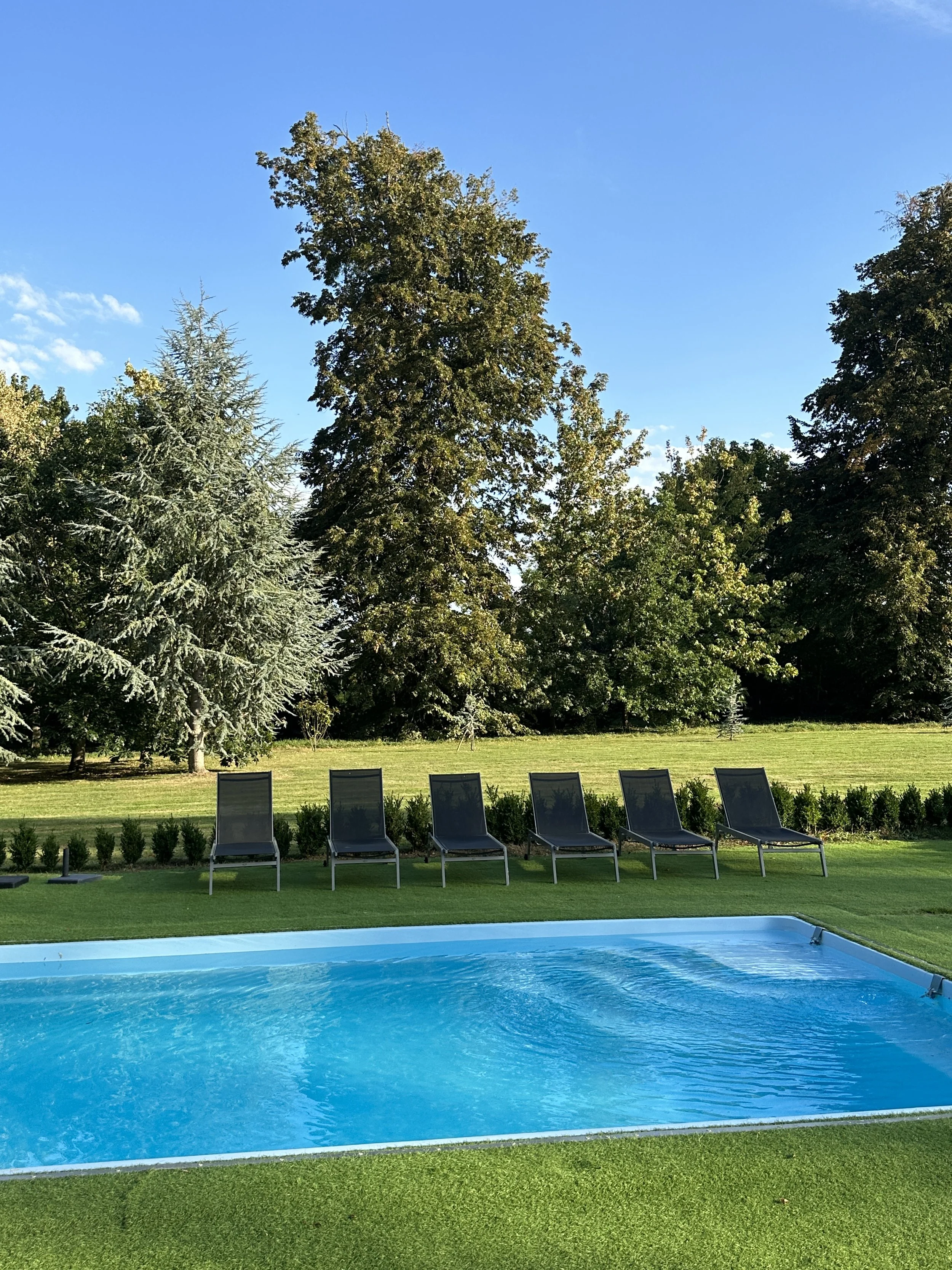 Piscine bleue à côté de chaises longues sur une pelouse entourée d'arbres.