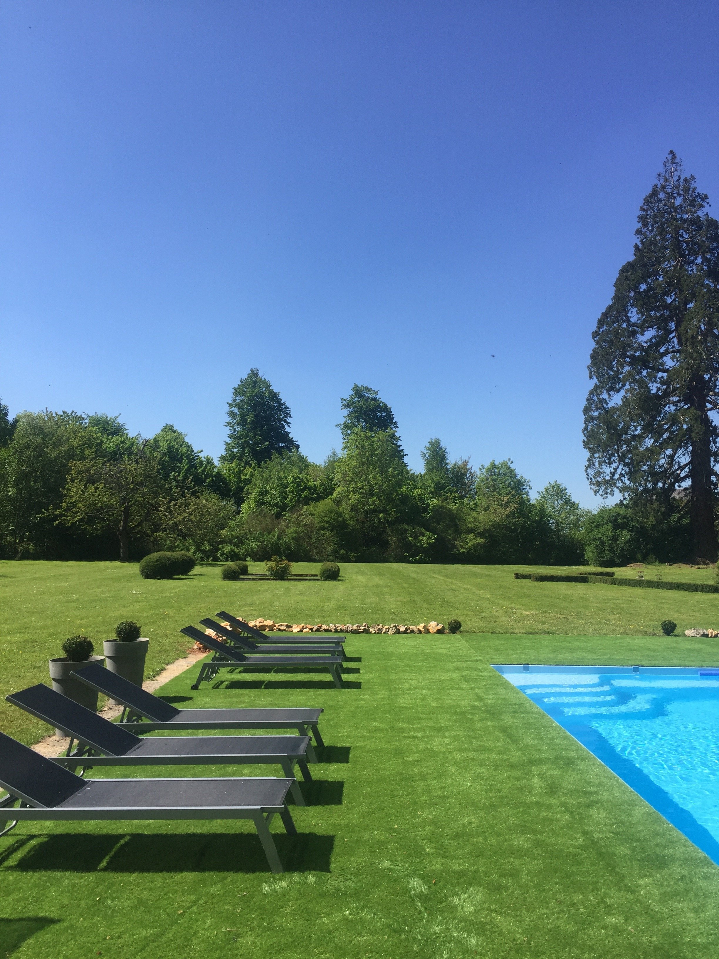 Piscine dans le parc