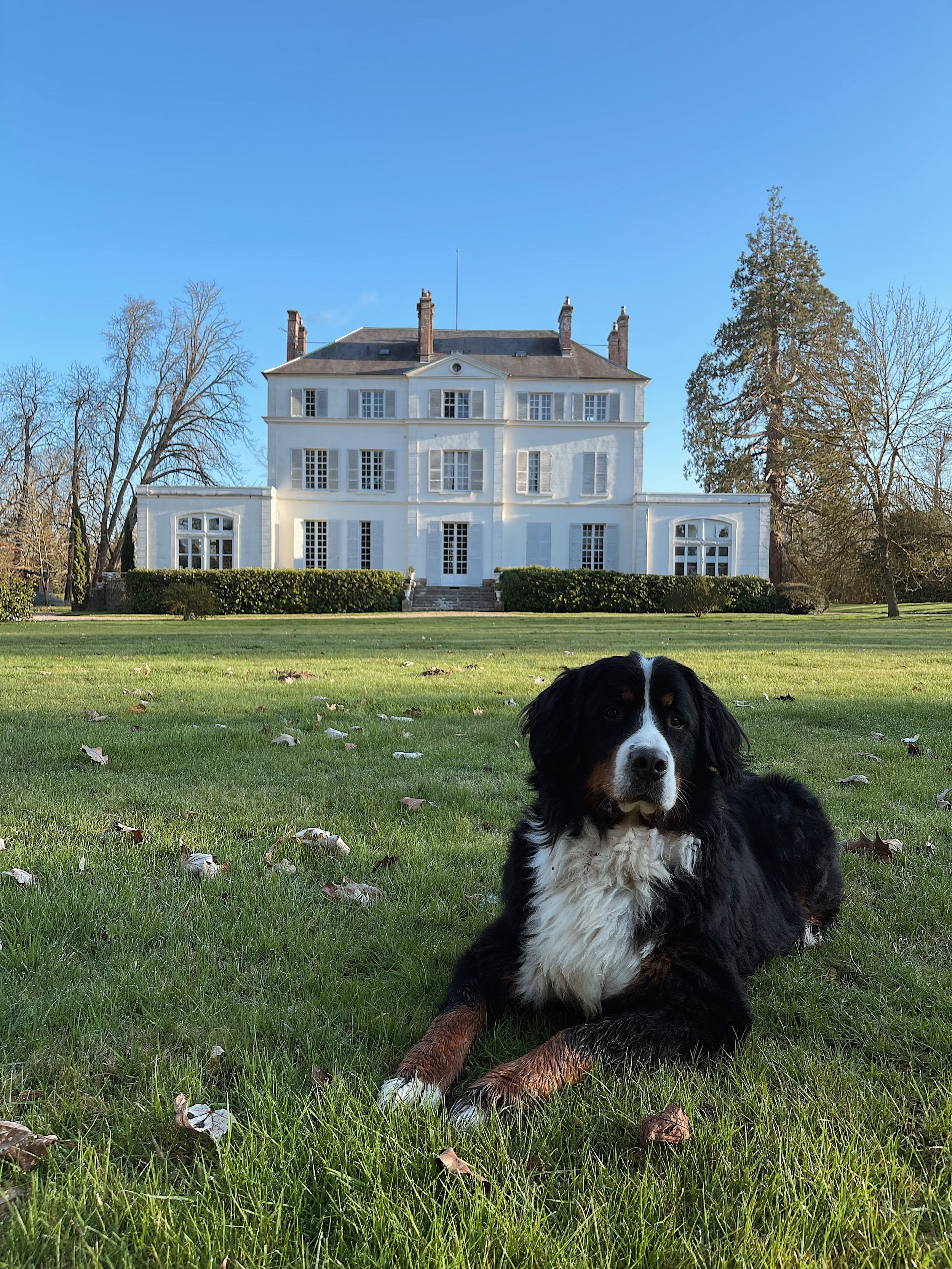 Le parc : le bonheur de Ralph!
