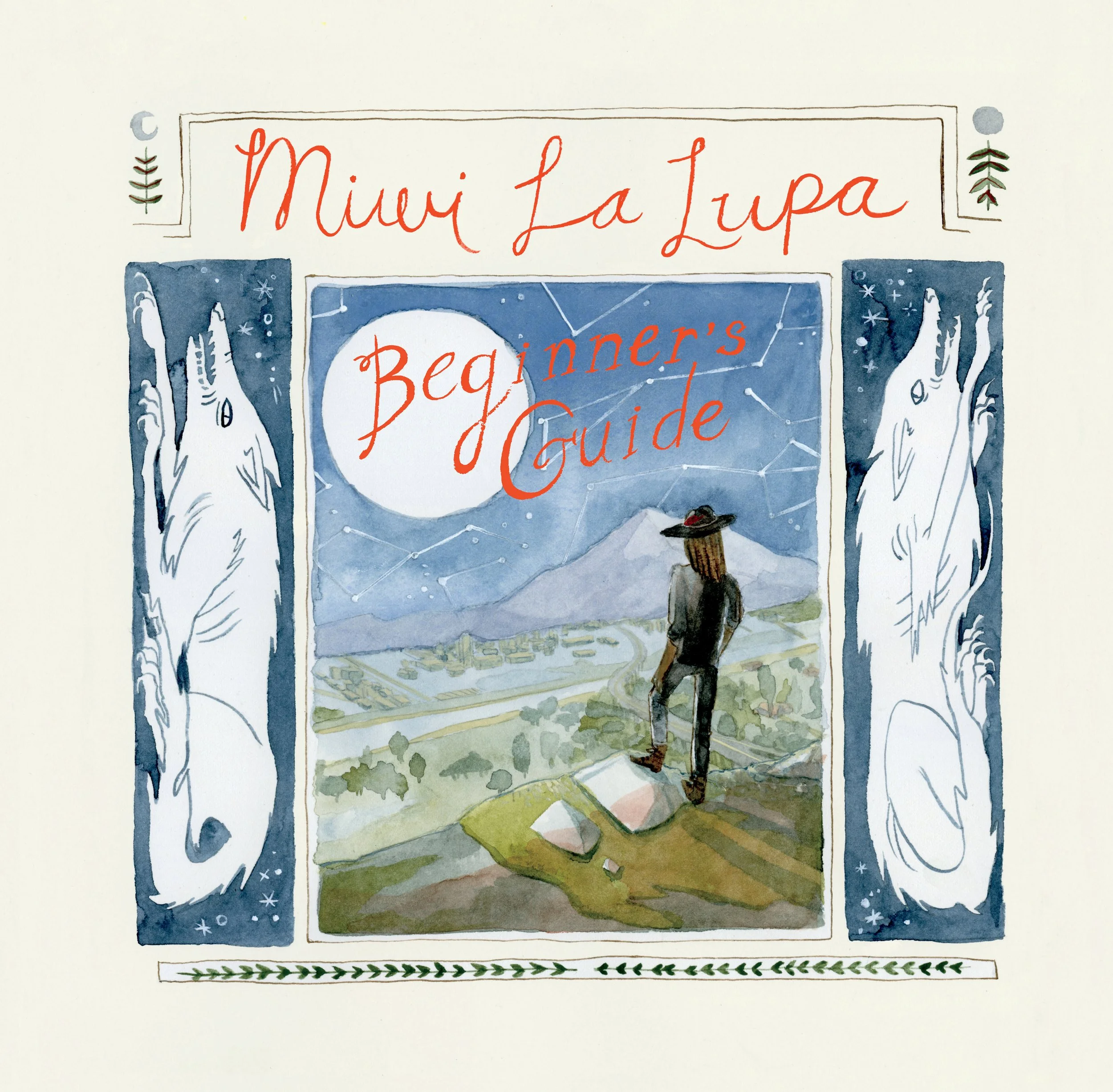 Beginner's Guide Vinyl