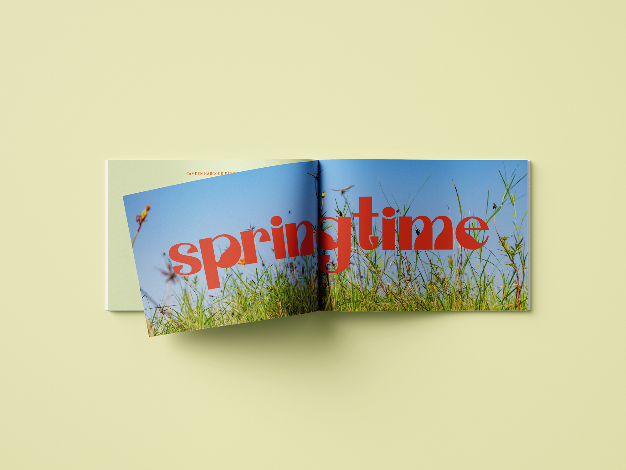 Warble Typeface Design