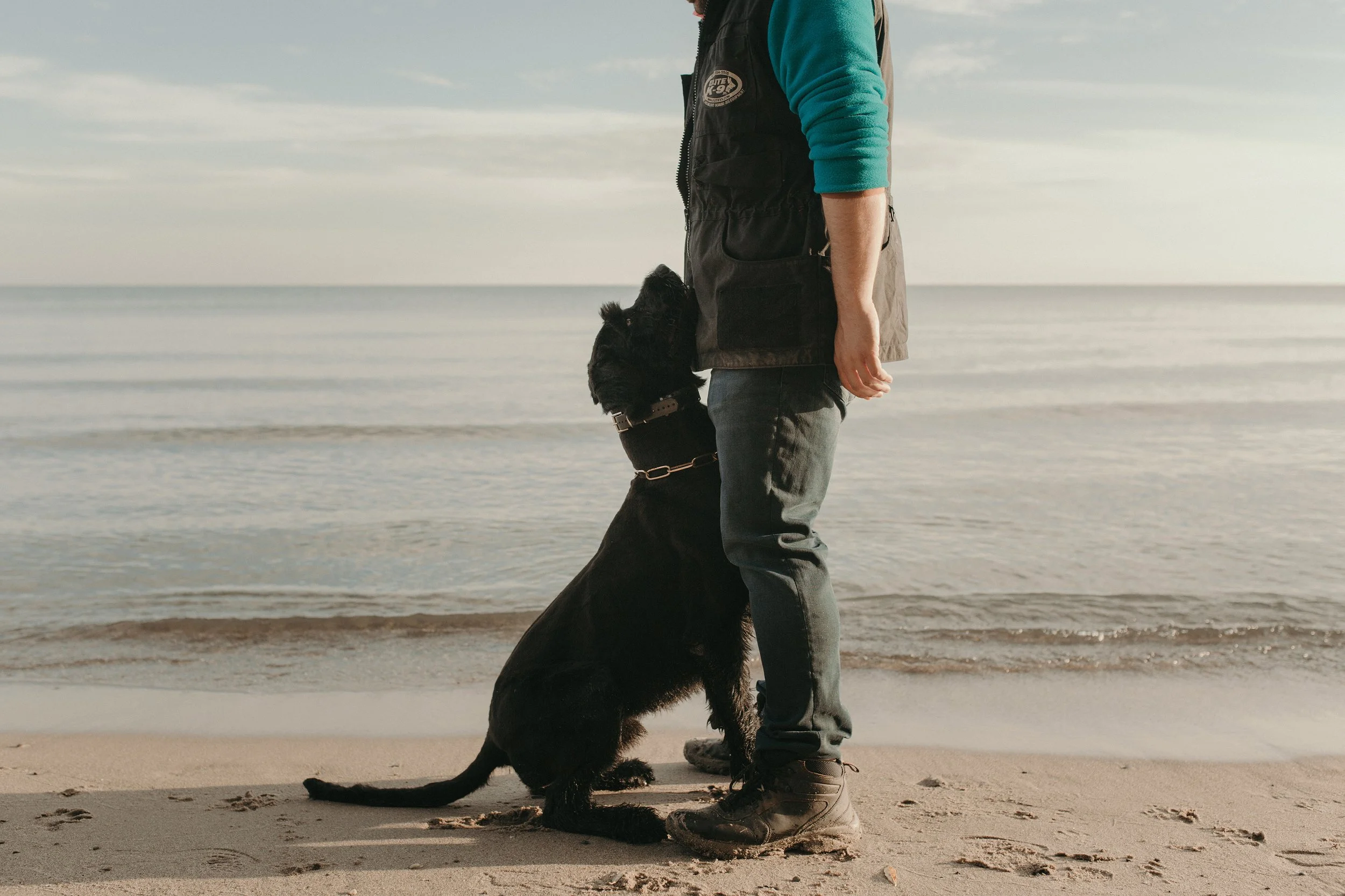A person standing on a sandy beach with their black dog sitting attentively at their side, facing the water, during daytime.