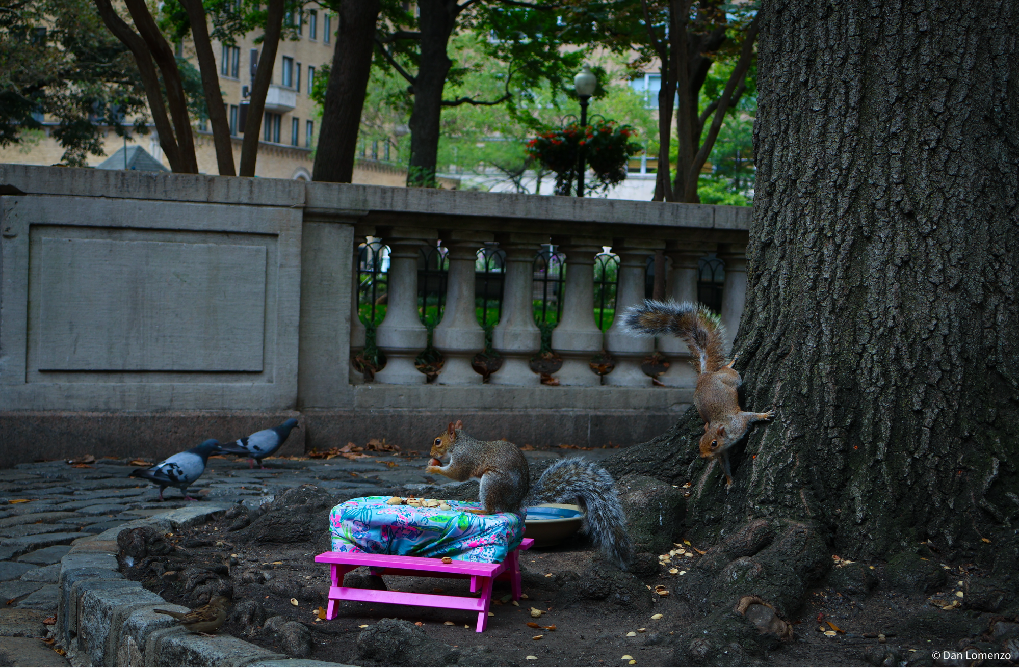 Untitled design (21).png