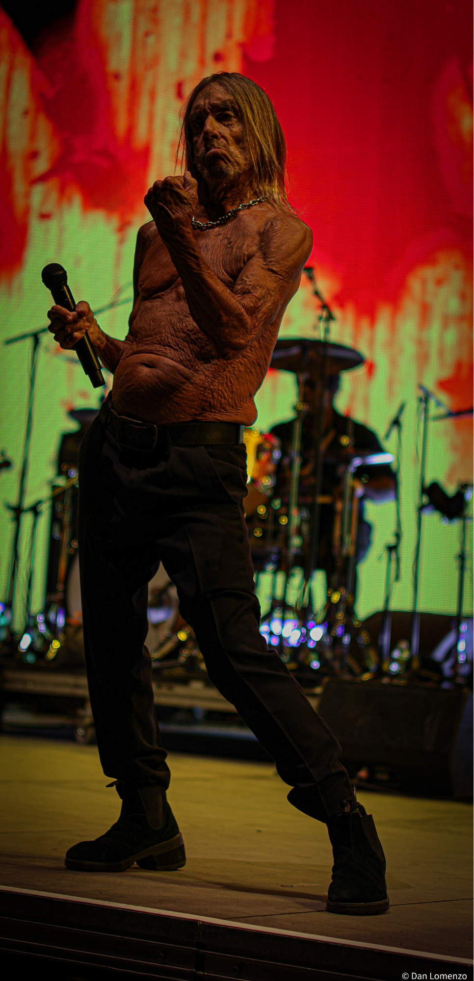 Untitled design (1).png