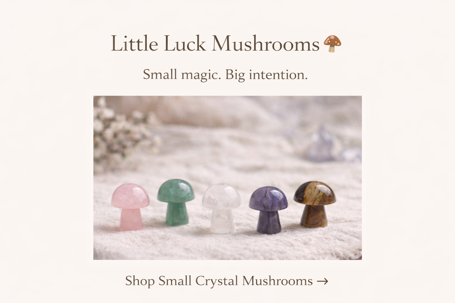 ChatGPT Image Jan 25, 2026 at 03_56_41 PM.png