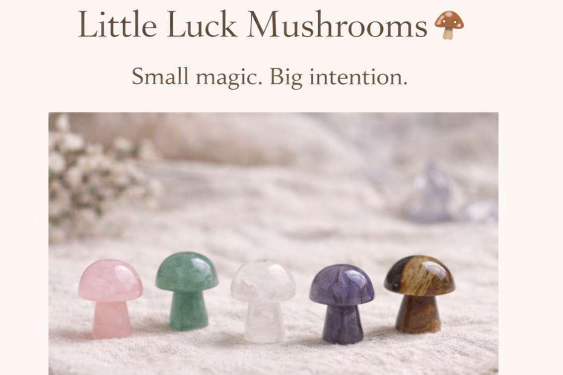 ⭐️ Pocket Mushrooms