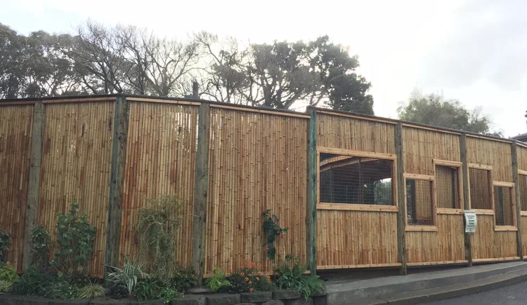Wooden panel construction in progress on building with trees in background.