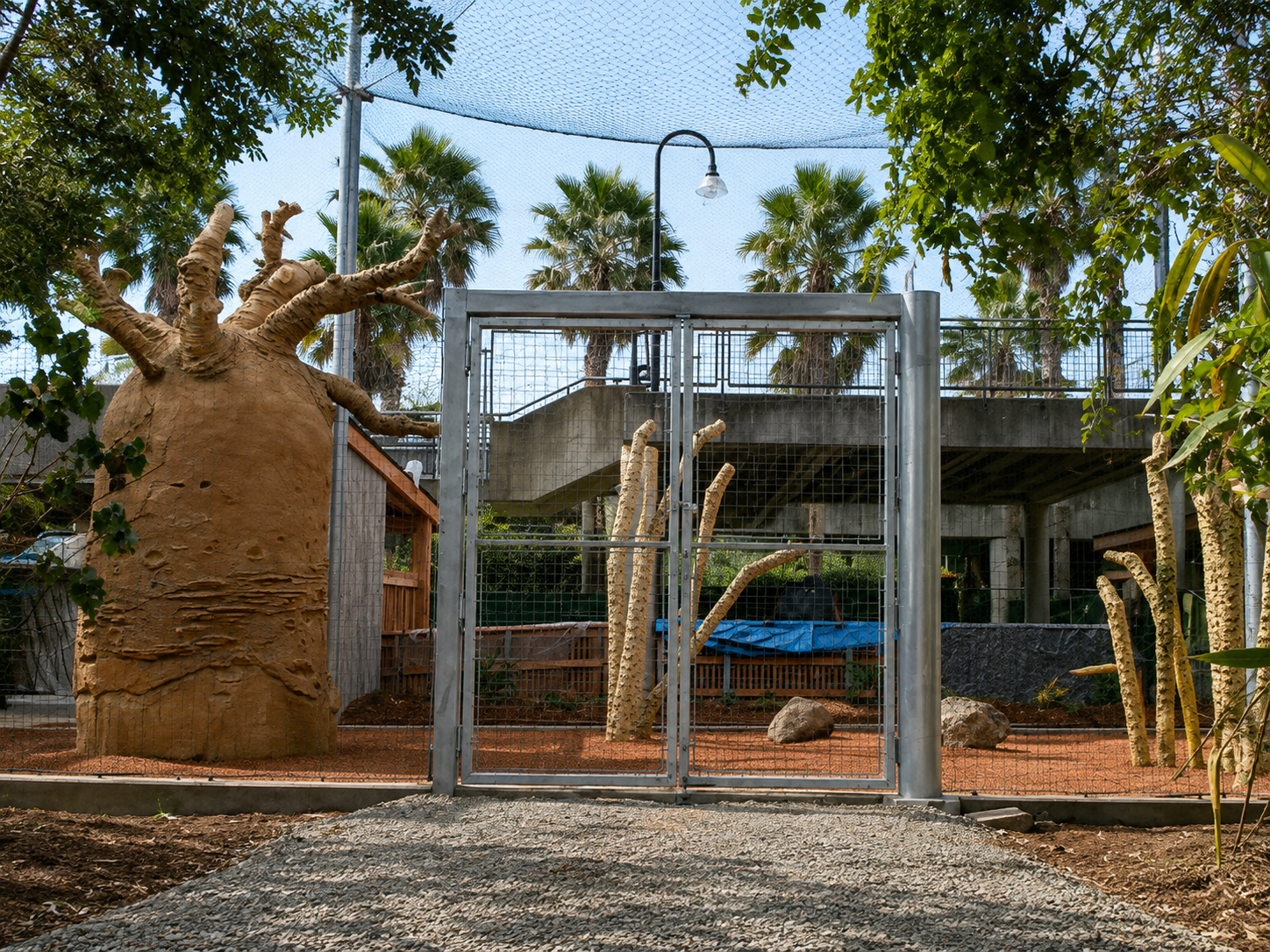 san-francisco-zoo-sifaka-exhibit-commercial-project-enclosure.png