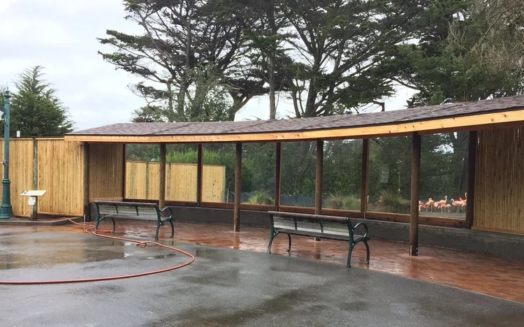 Empty outdoor park shelter with benches and a wet concrete ground after rain, surrounded by trees and a wooden fence.