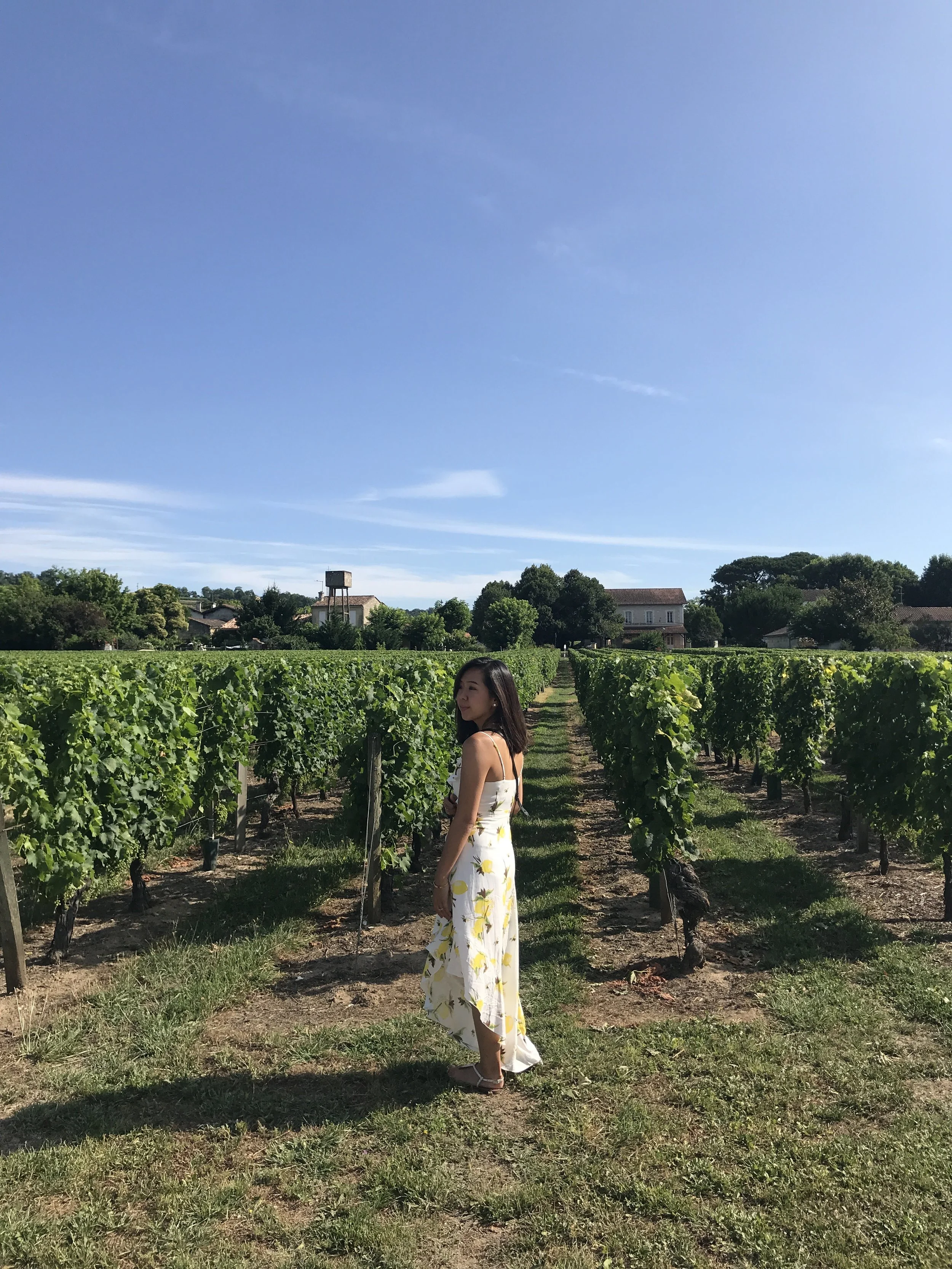A woman in a white dress with yellow pattern standing in a vineyard under clear blue sky.