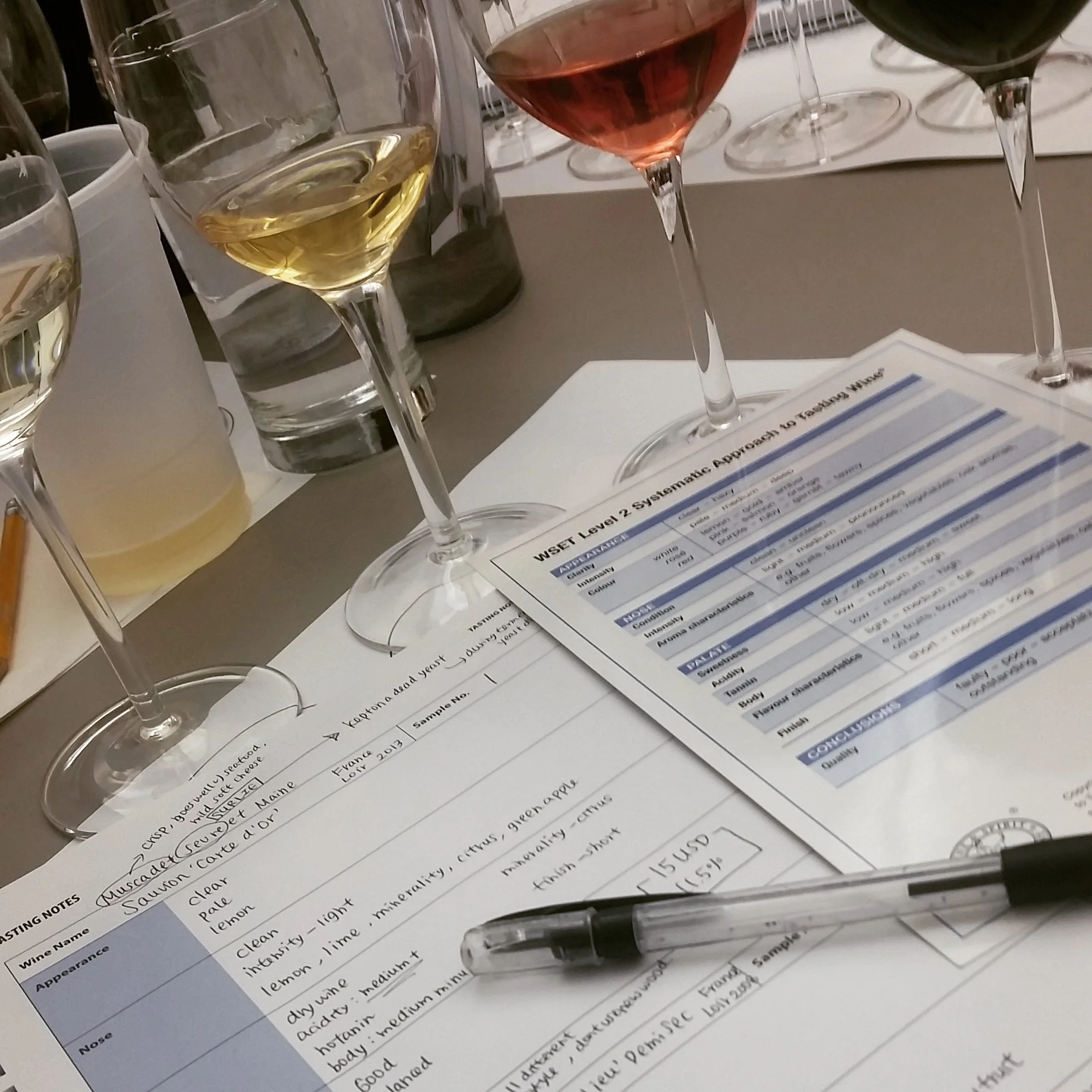 Several wine glasses with white, pink, and red wines on a table, along with tasting notes and evaluation sheets for wine tasting.