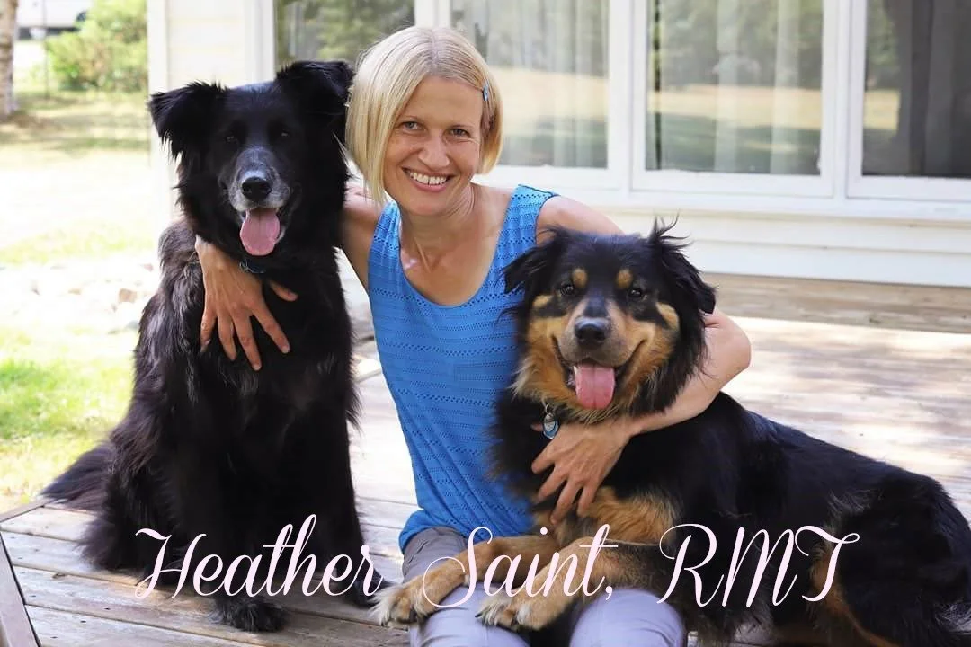 A woman smiling and sitting on a wooden deck outside with two large dogs, one black and the other black and tan. The woman is wearing a blue sleeveless shirt.