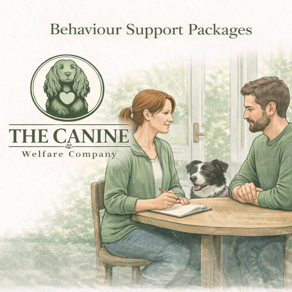 Behaviour Support Packages