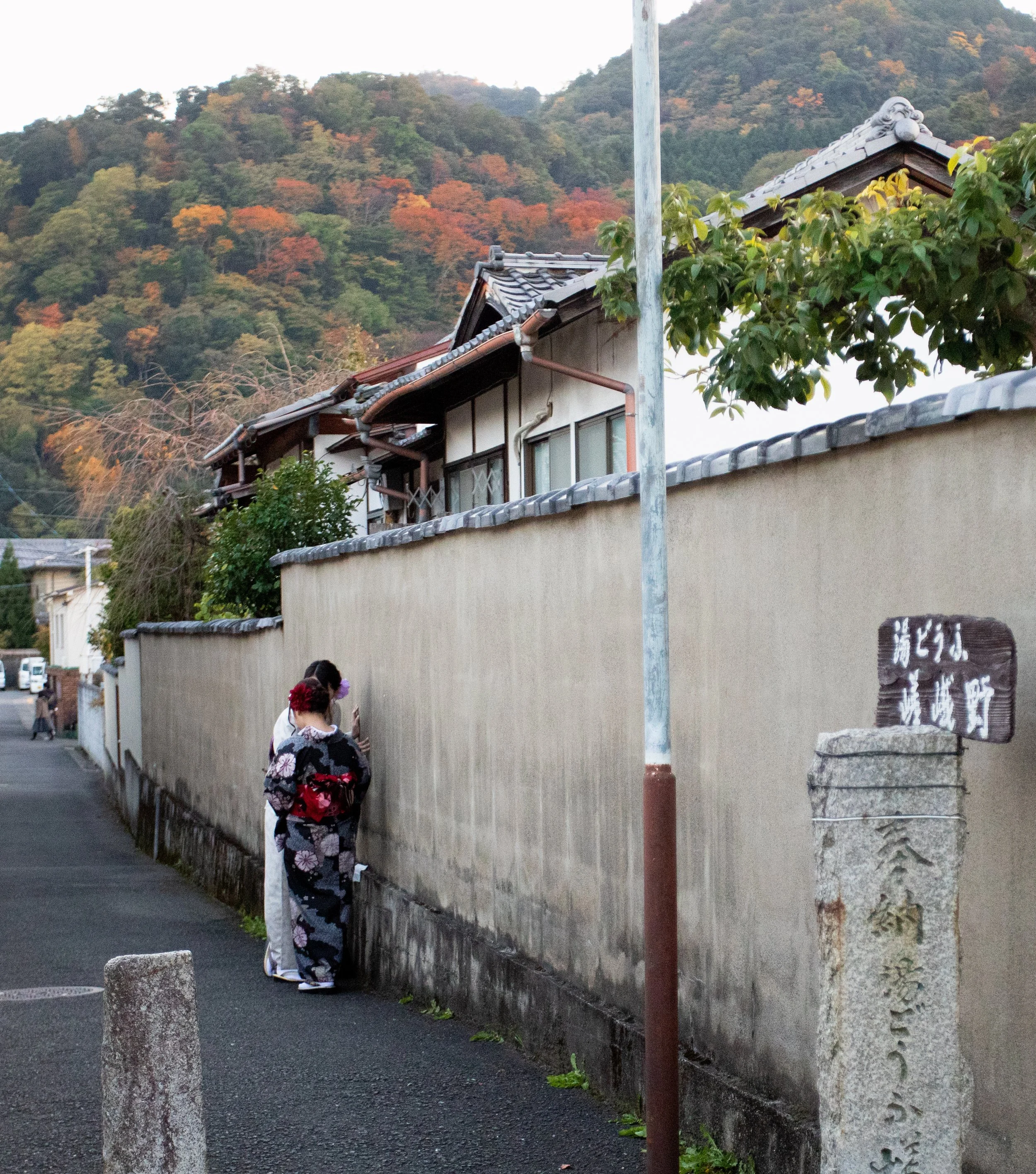 Ladies_in_Kimono_Arashiyama_2O1A0660-2.jpg