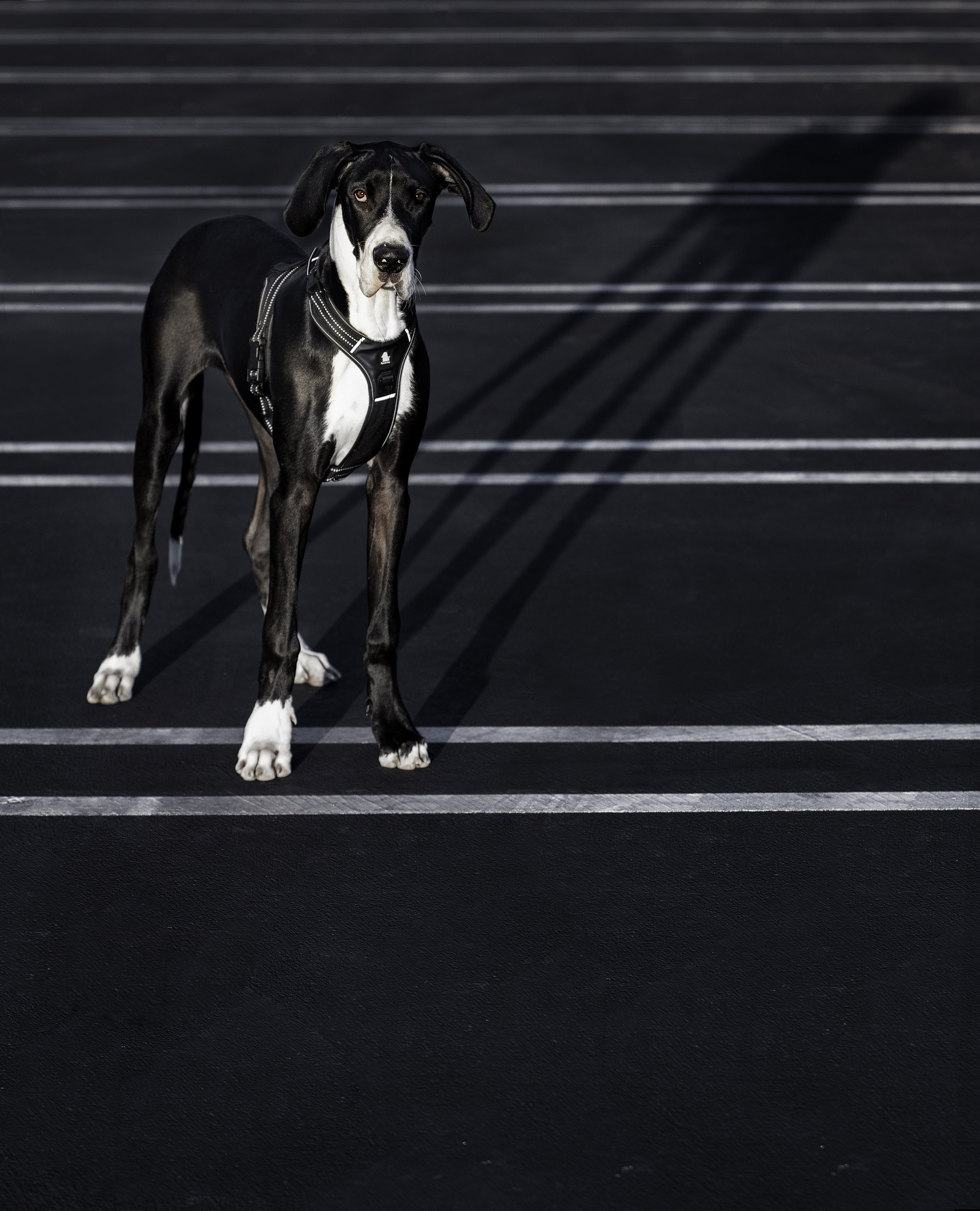 Miss Philly-6_mos_2O1A8449.jpg